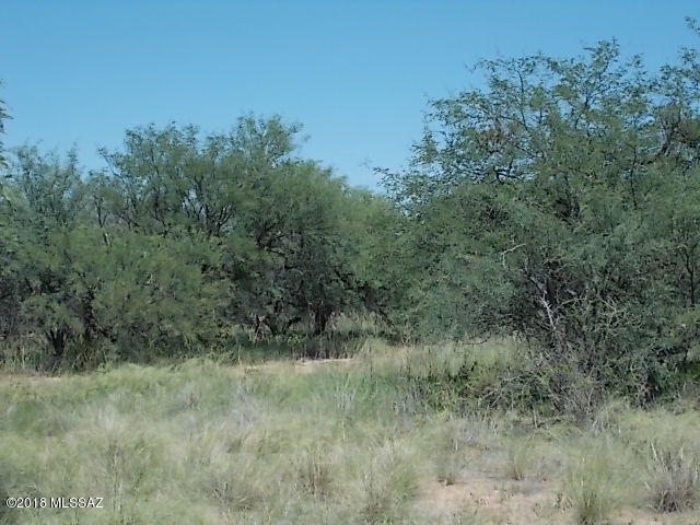 Elephant Head - Land