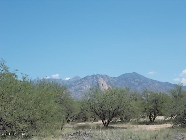 Elephant Head - Land