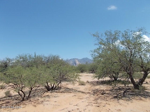 Elephant Head - Land