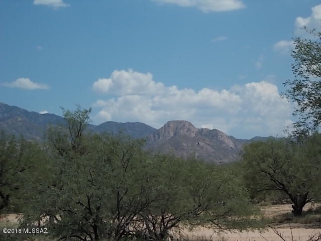 Elephant Head - Land