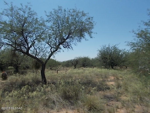 Elephant Head - Land