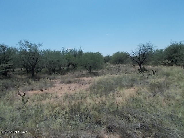 Elephant Head - Land