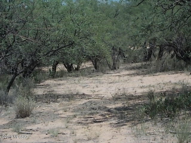 Elephant Head - Land