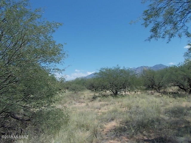 Elephant Head - Land
