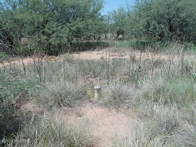 Elephant Head - Land