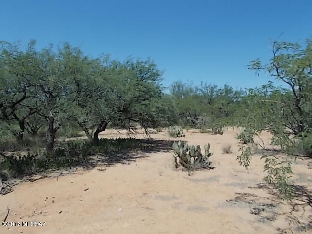 Elephant Head - Land