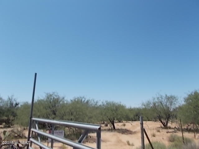 Elephant Head - Land