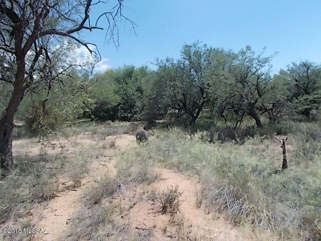 Elephant Head - Land