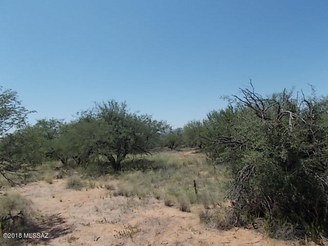 Elephant Head - Land
