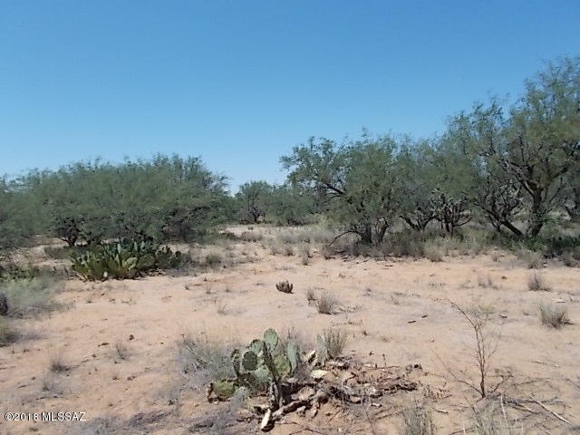 Elephant Head - Land