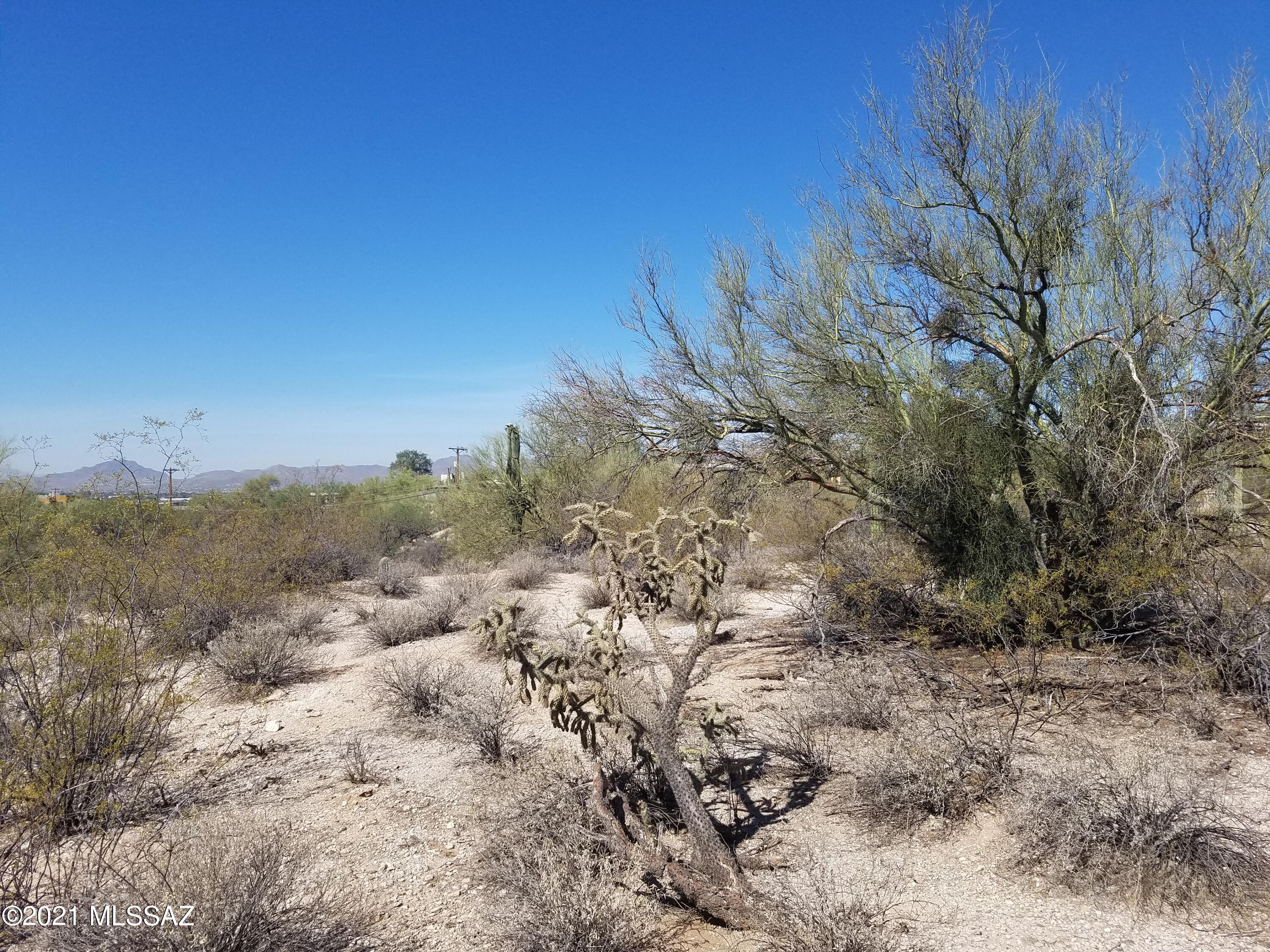 Oracle Foothills Estates NO. 7 (301-383) - Land