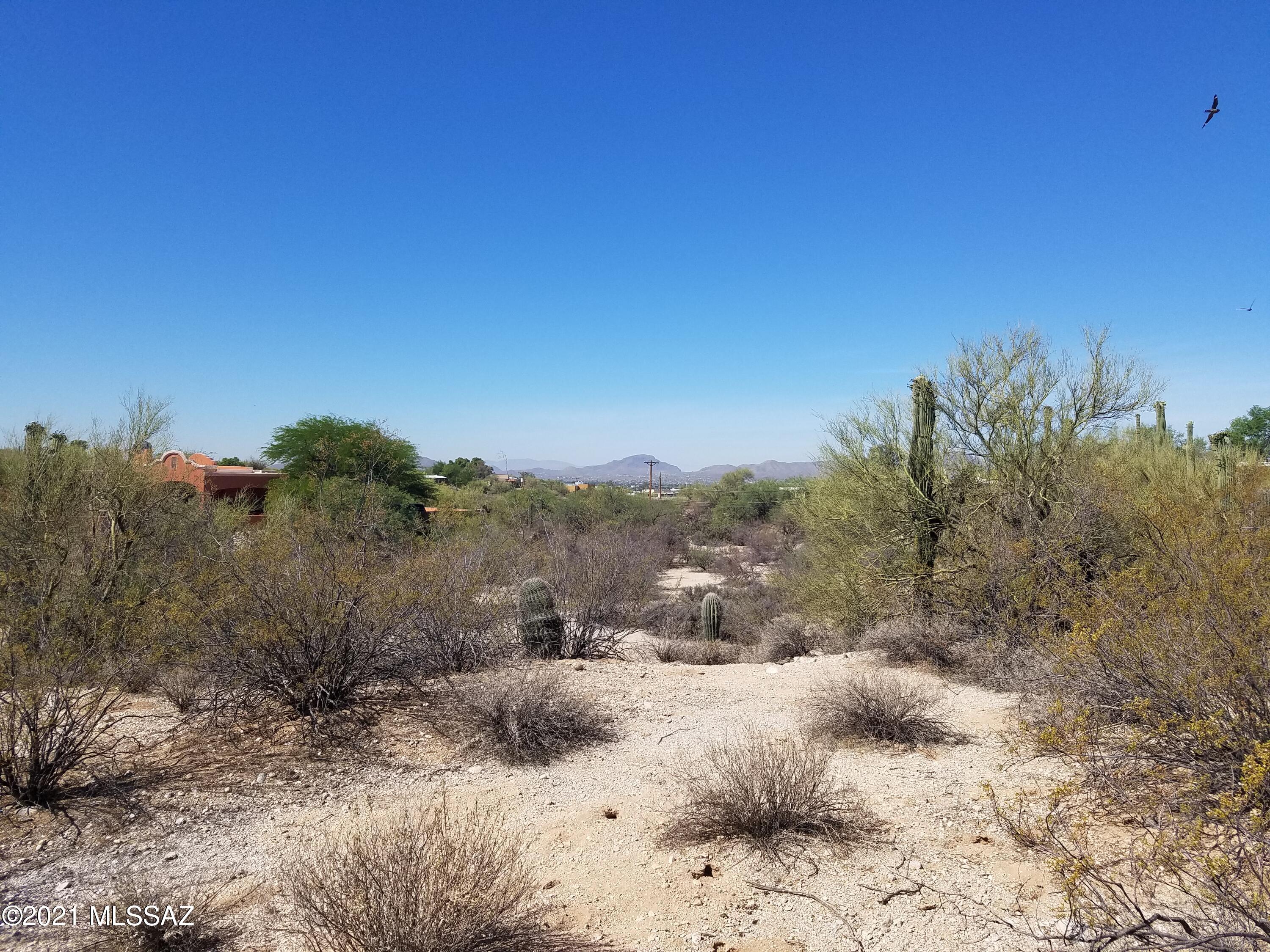 Oracle Foothills Estates NO. 7 (301-383) - Land
