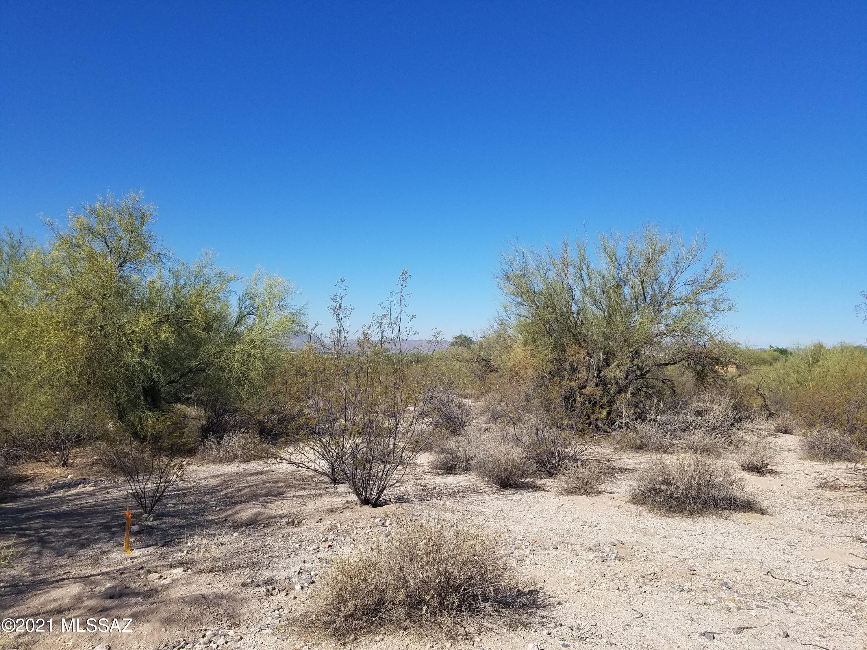 Oracle Foothills Estates NO. 7 (301-383) - Land