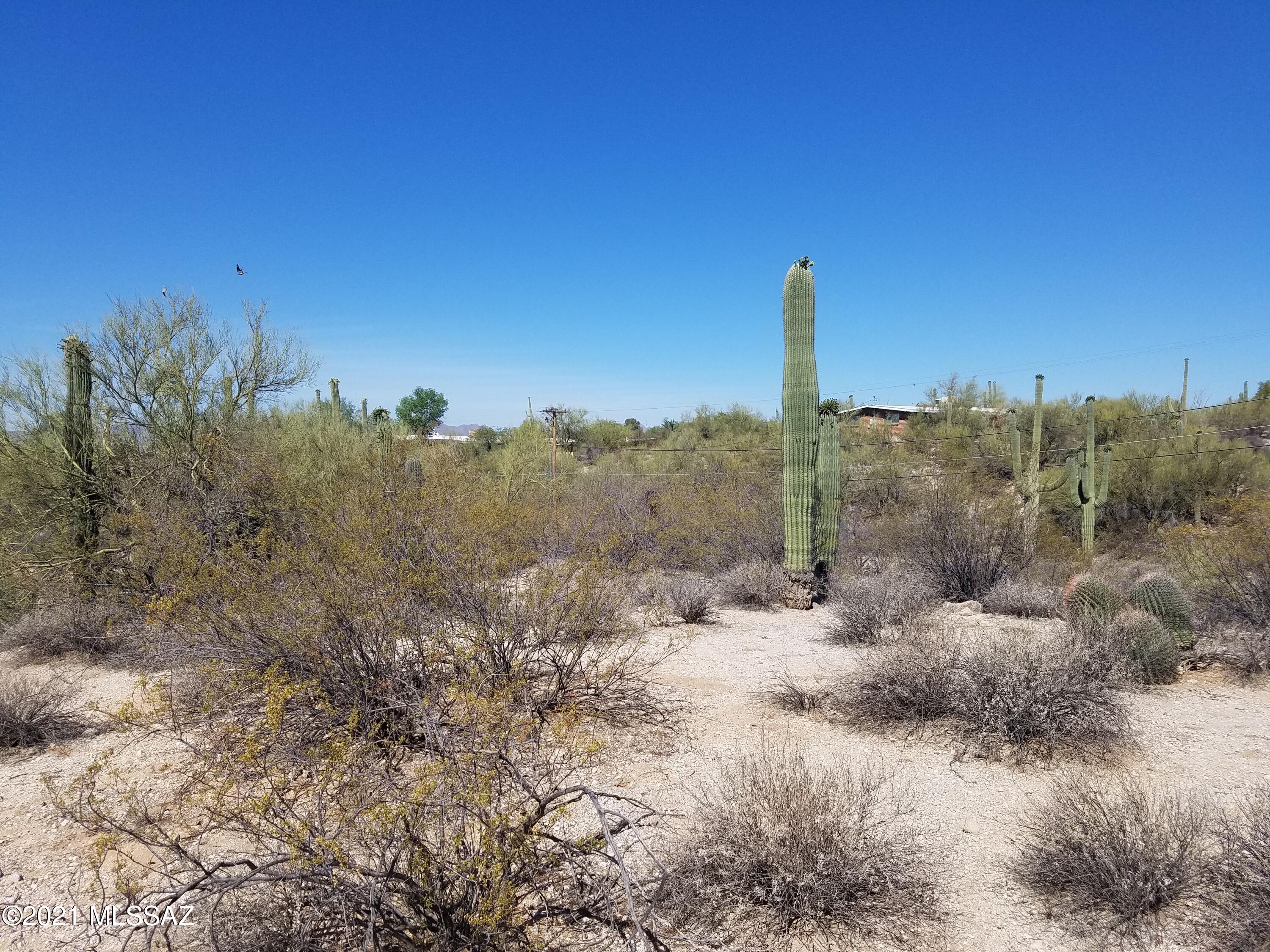 Oracle Foothills Estates NO. 7 (301-383) - Land