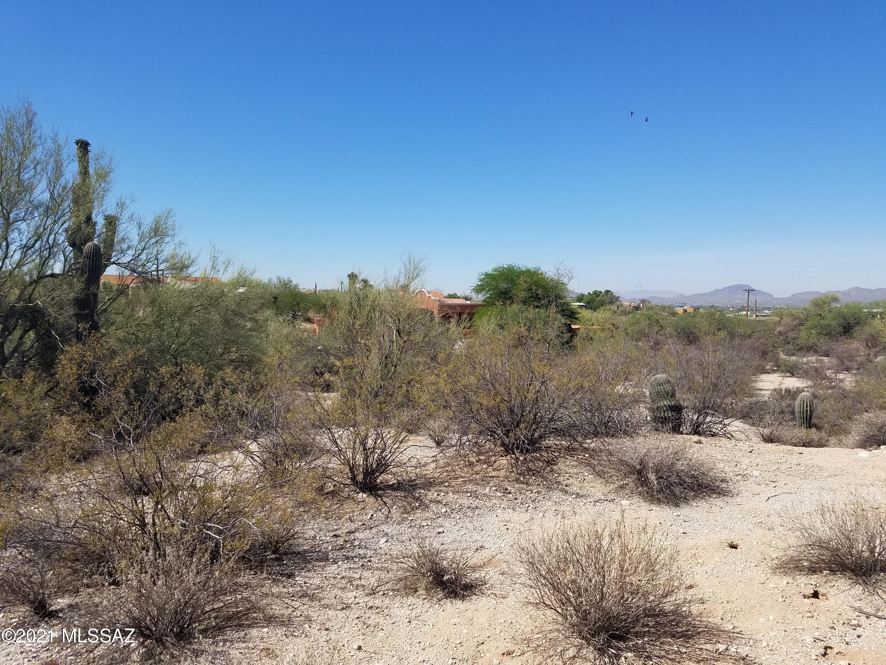 Oracle Foothills Estates NO. 7 (301-383) - Land