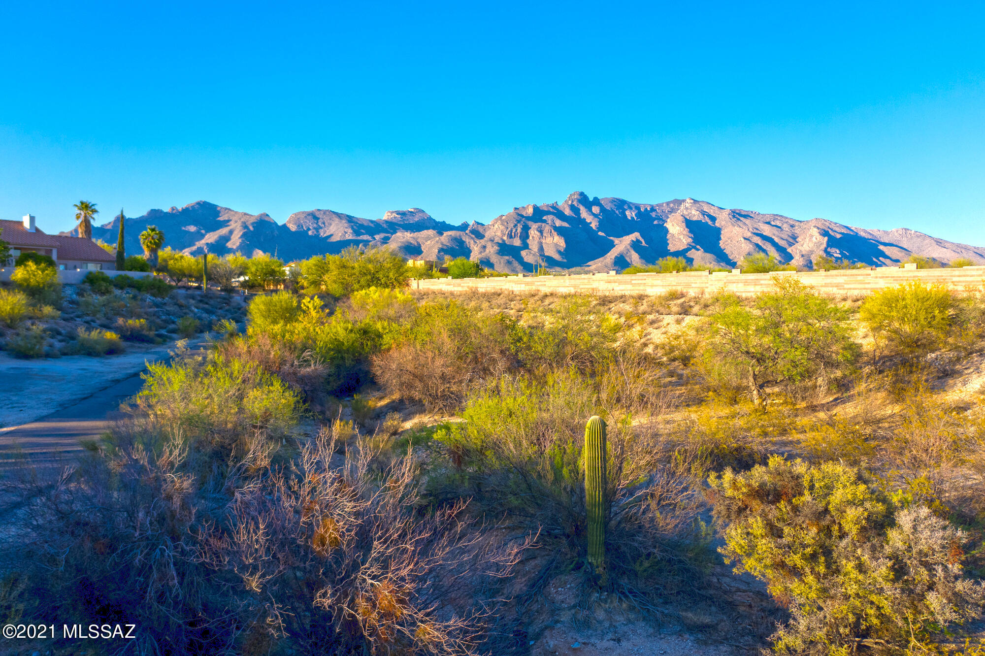 Oracle Foothills Estates NO. 7 (301-383) - Land