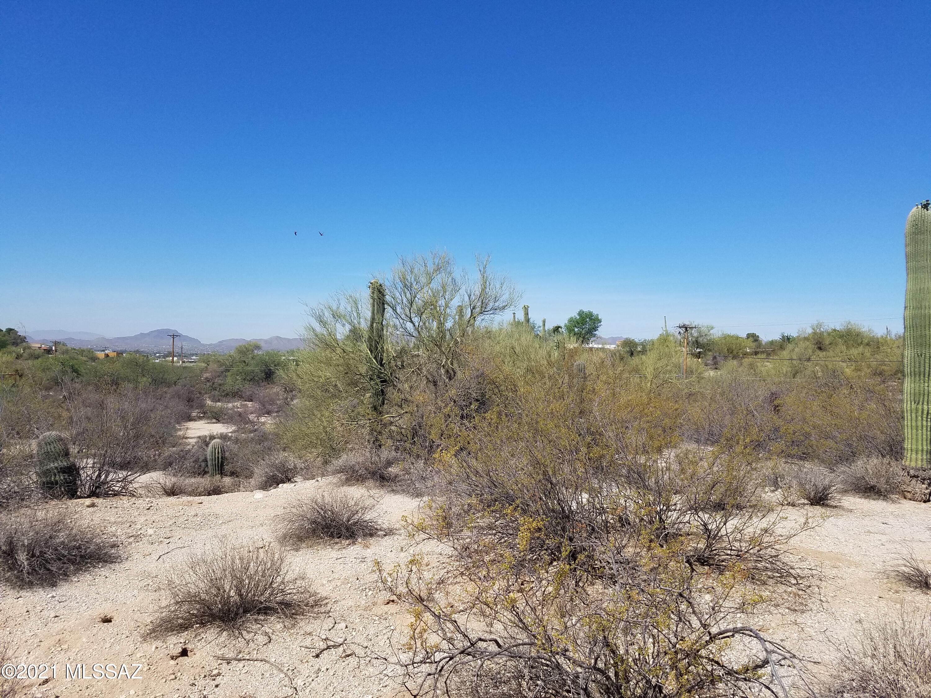 Oracle Foothills Estates NO. 7 (301-383) - Land