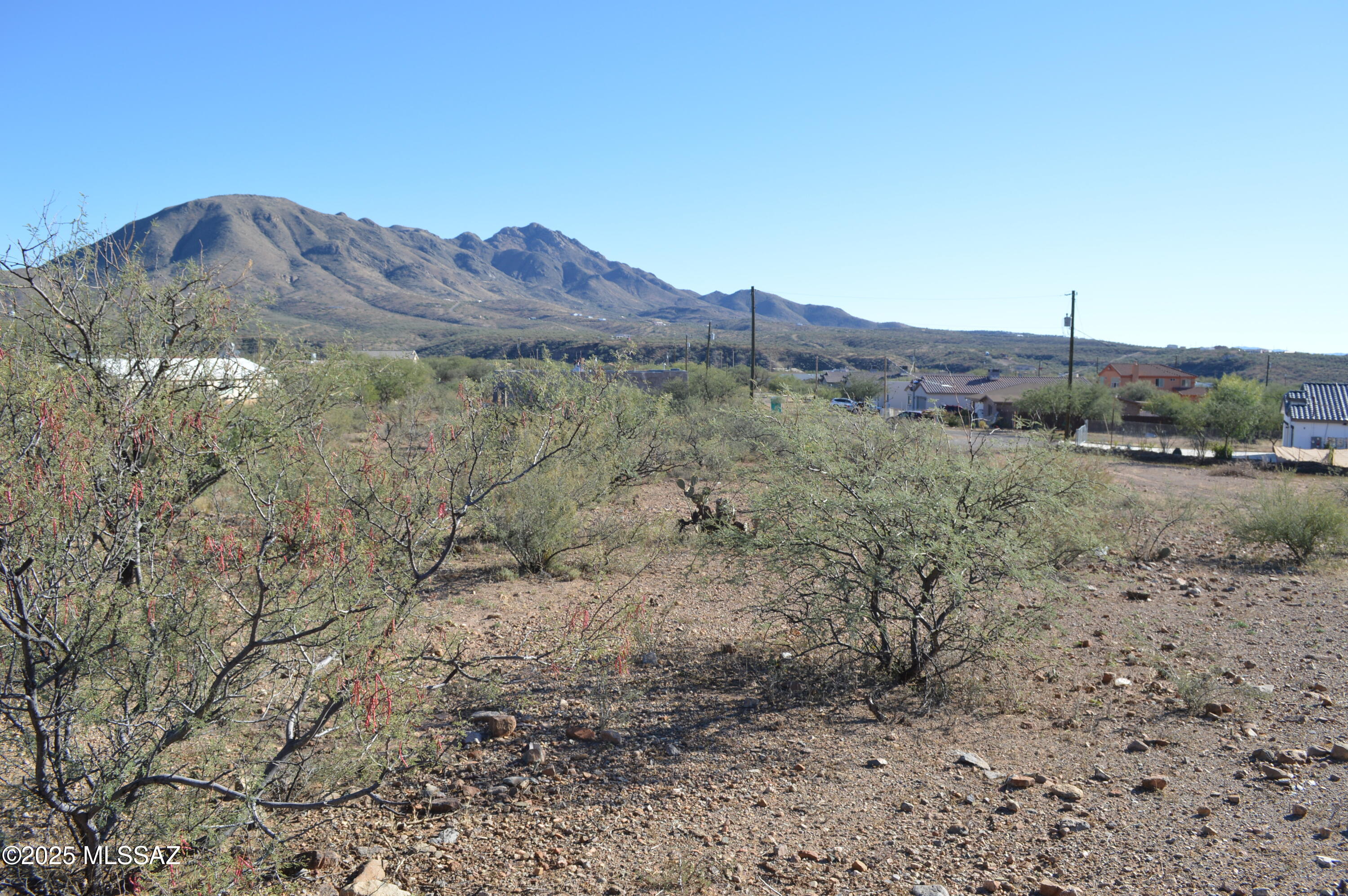 Rio Rico Ranchettes 12 - Land