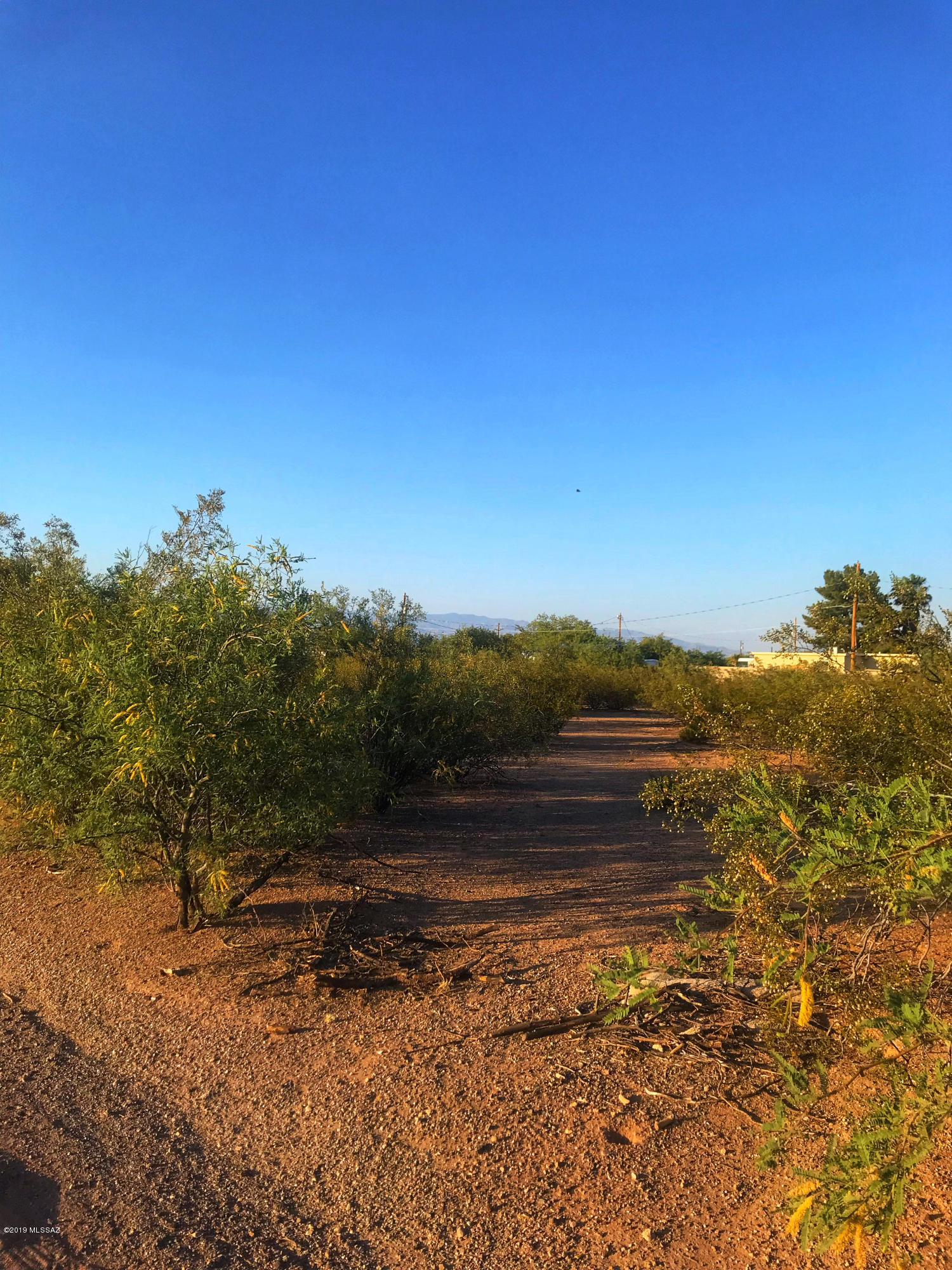 El Sol Acres (1-29) - Land
