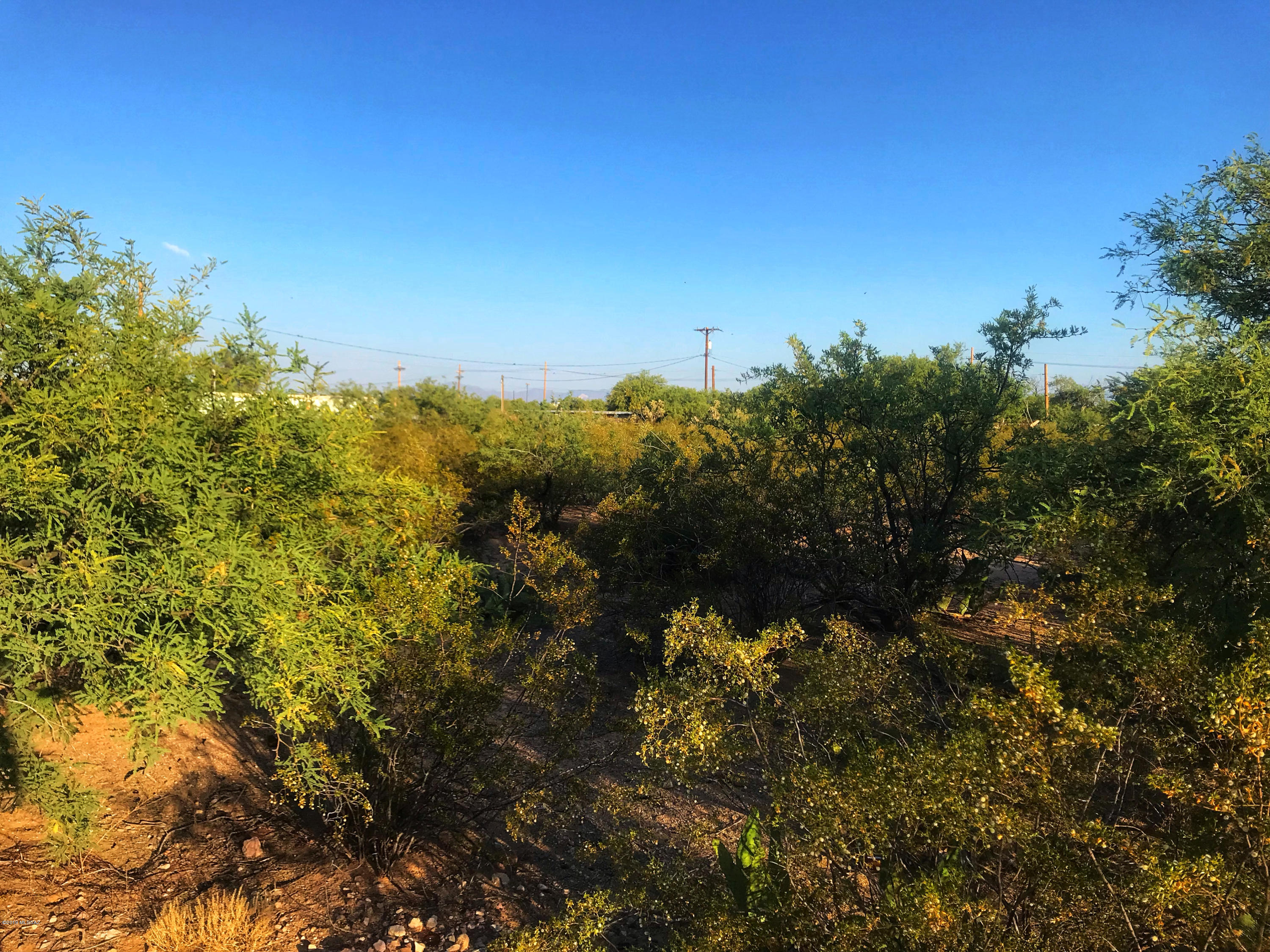 El Sol Acres (1-29) - Land