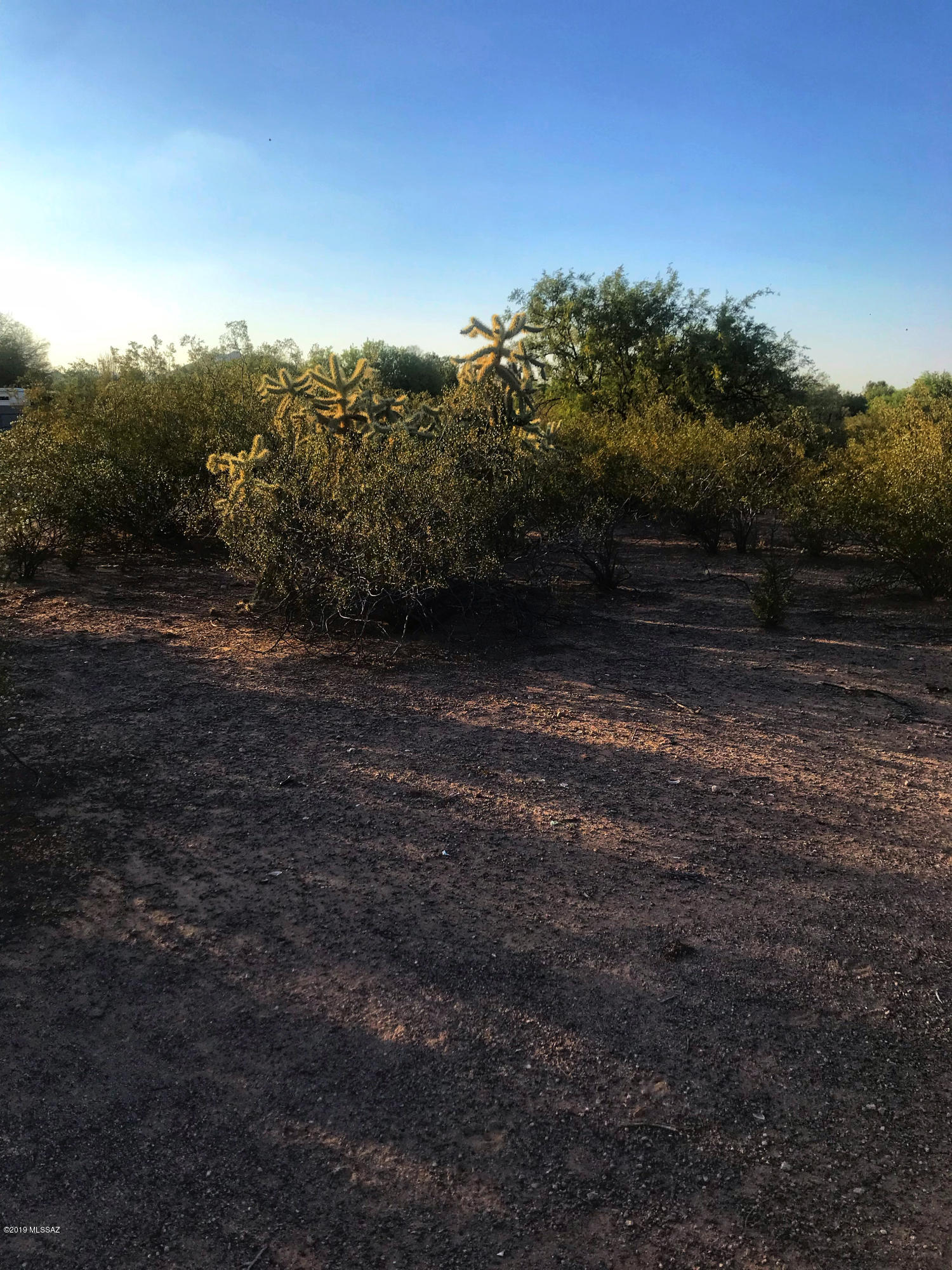 El Sol Acres (1-29) - Land