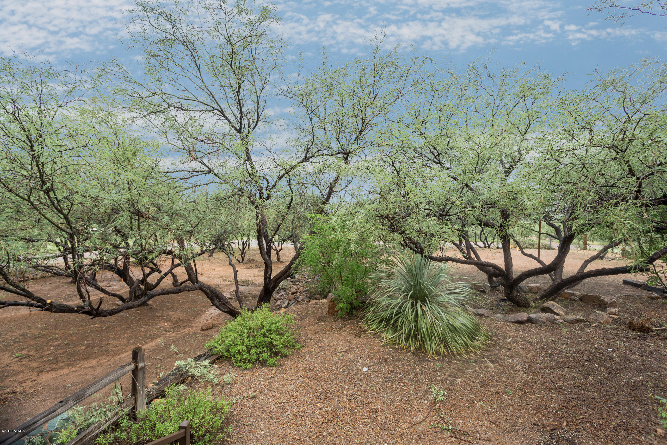 Rio Rico Ranchettes 4 - Residential