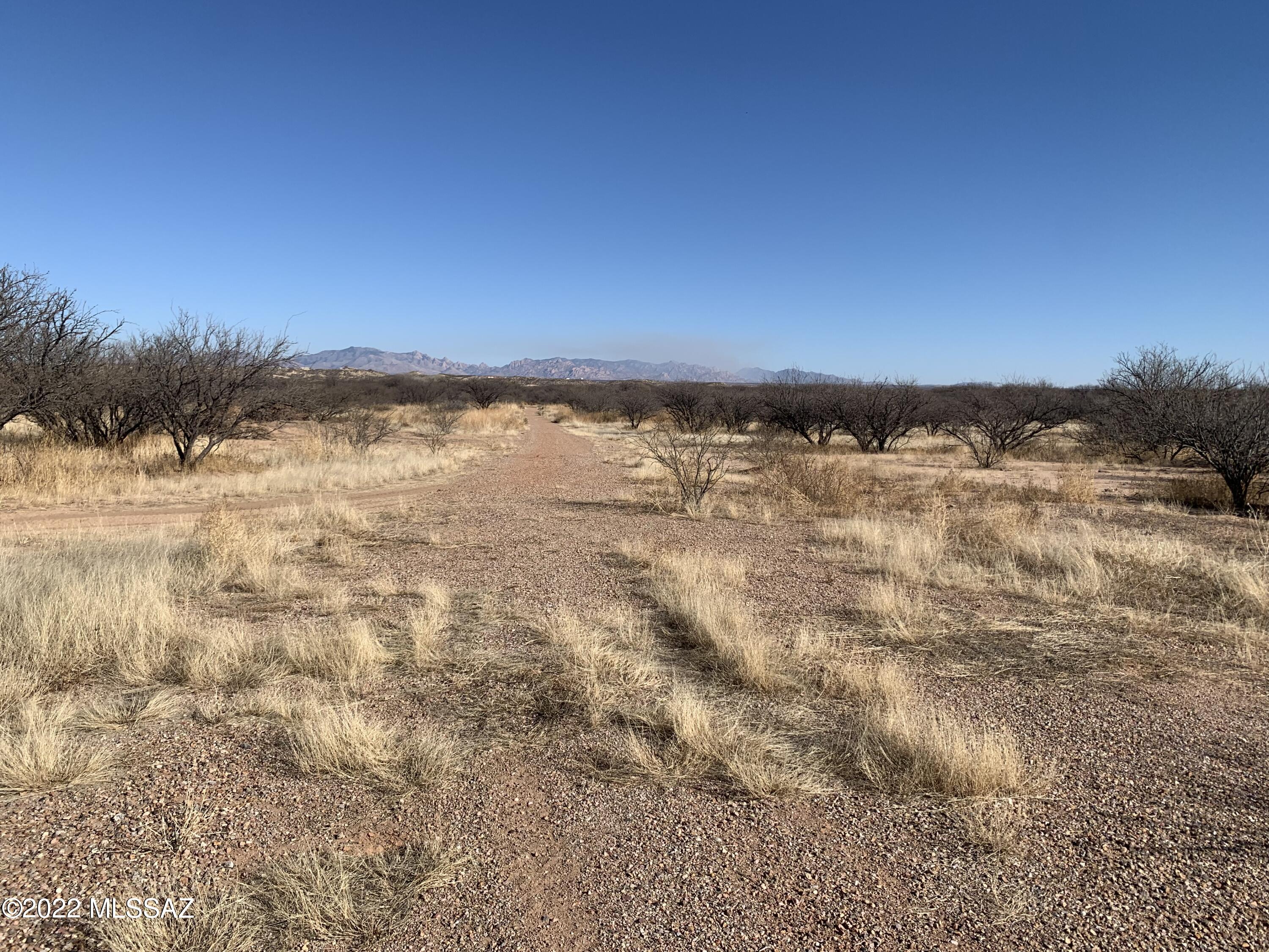 Out Of Pima County - Land