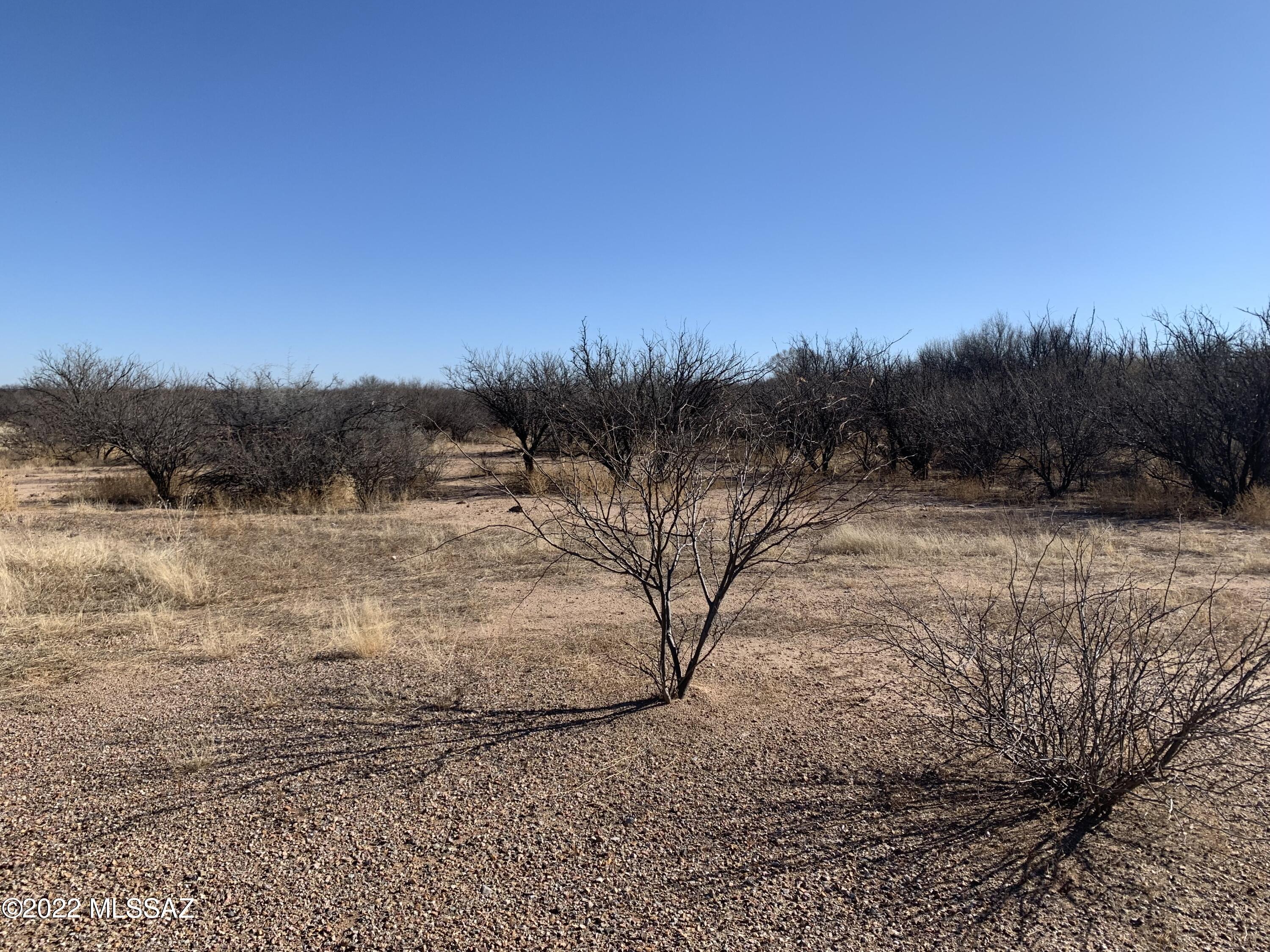 Out Of Pima County - Land
