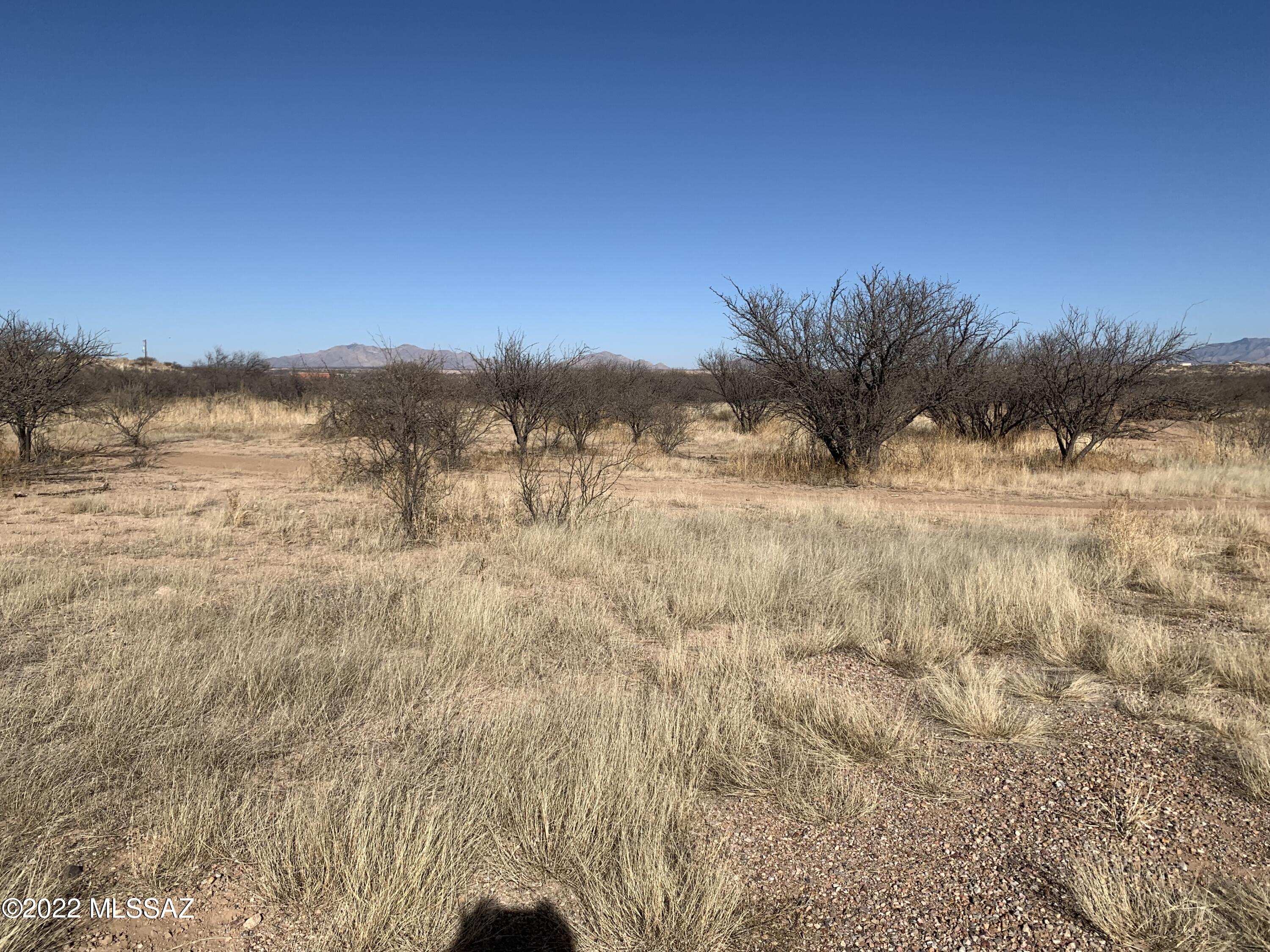Out Of Pima County - Land