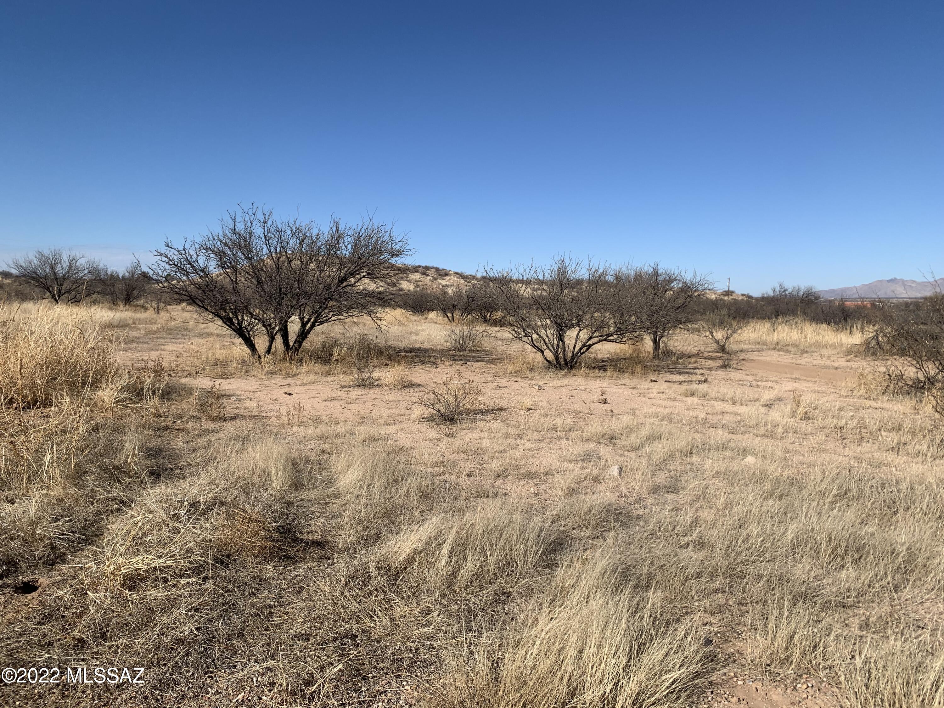 Out Of Pima County - Land