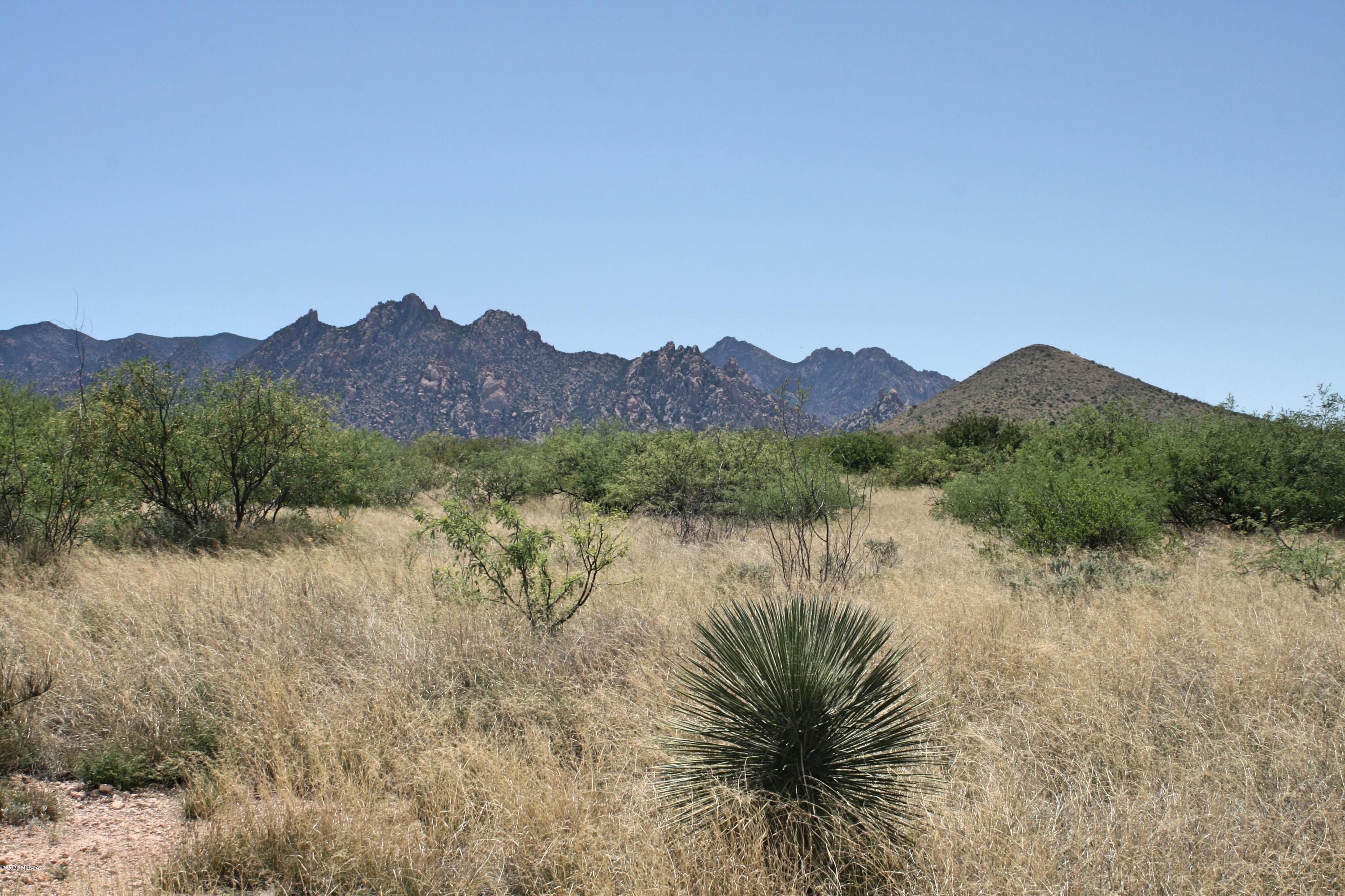 Dragoon Mountain Ranch - Land