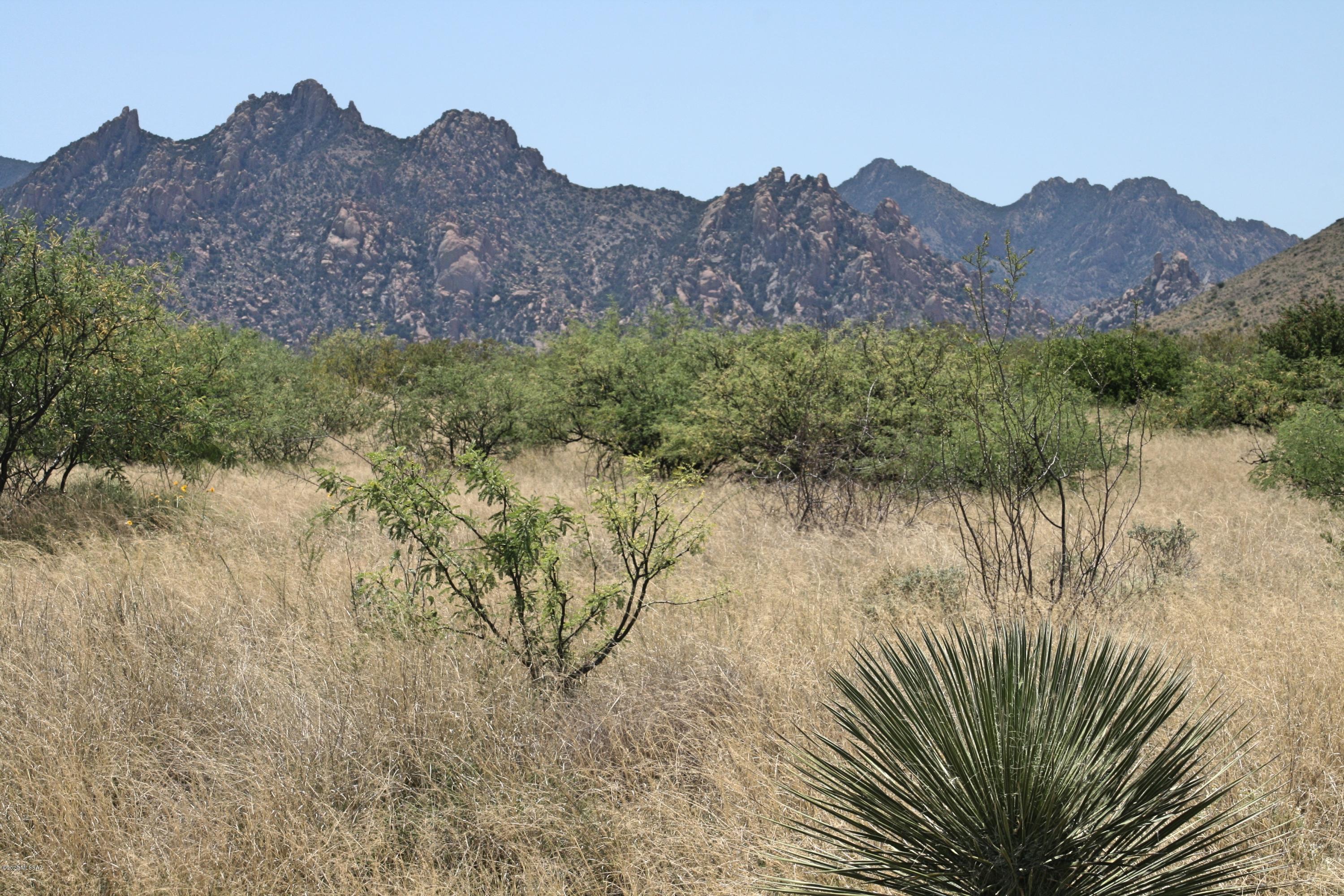Dragoon Mountain Ranch - Land