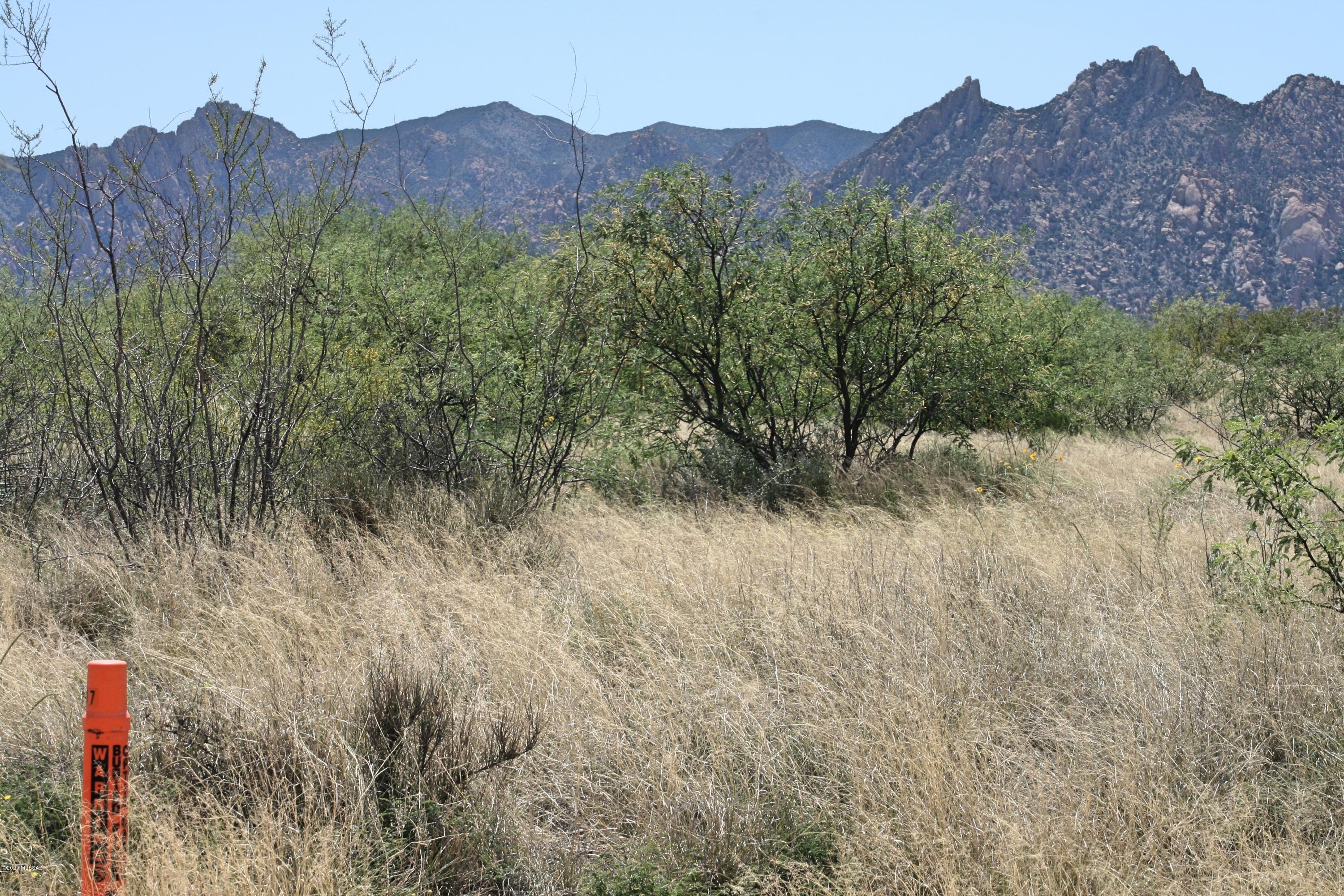 Dragoon Mountain Ranch - Land