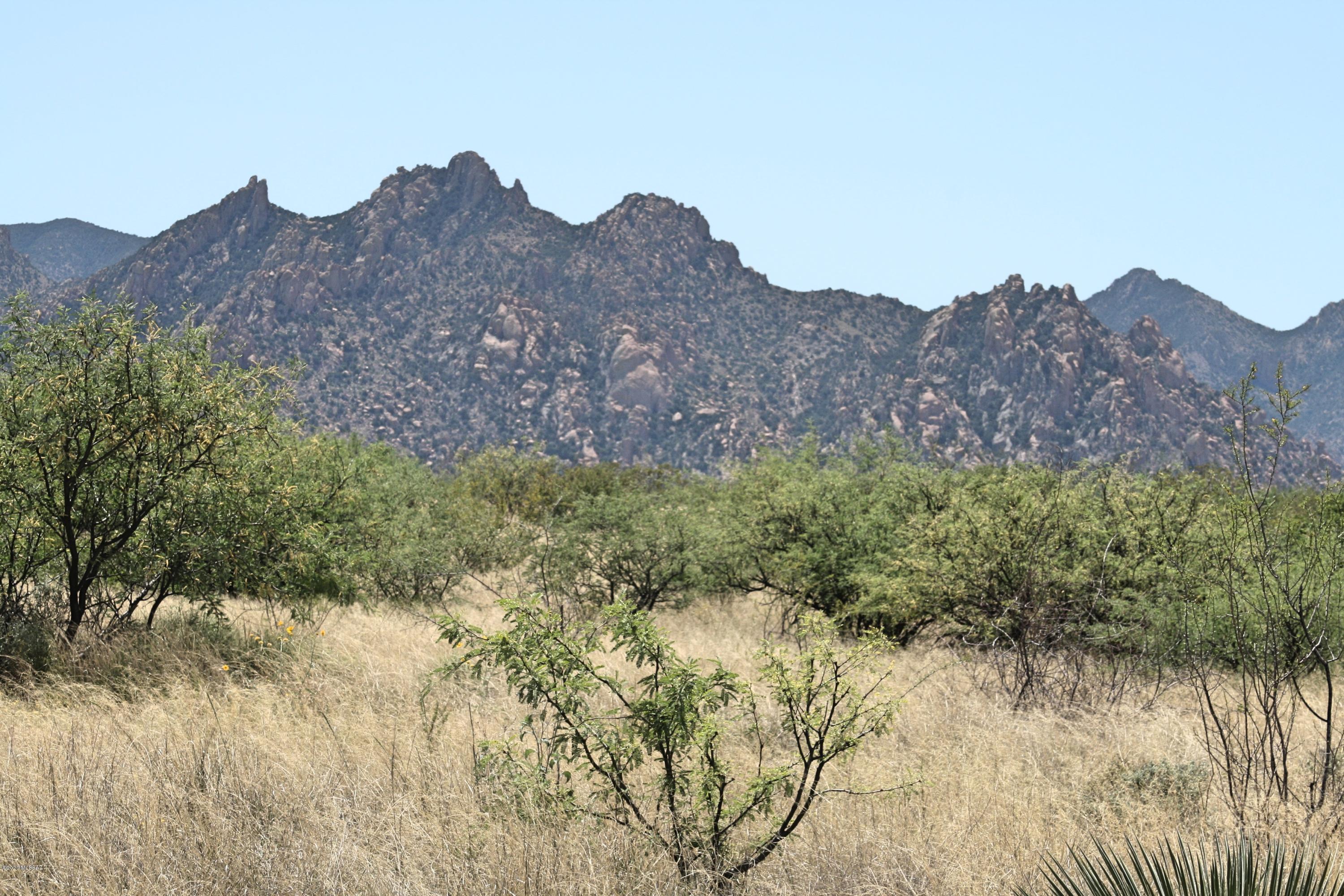 Dragoon Mountain Ranch - Land