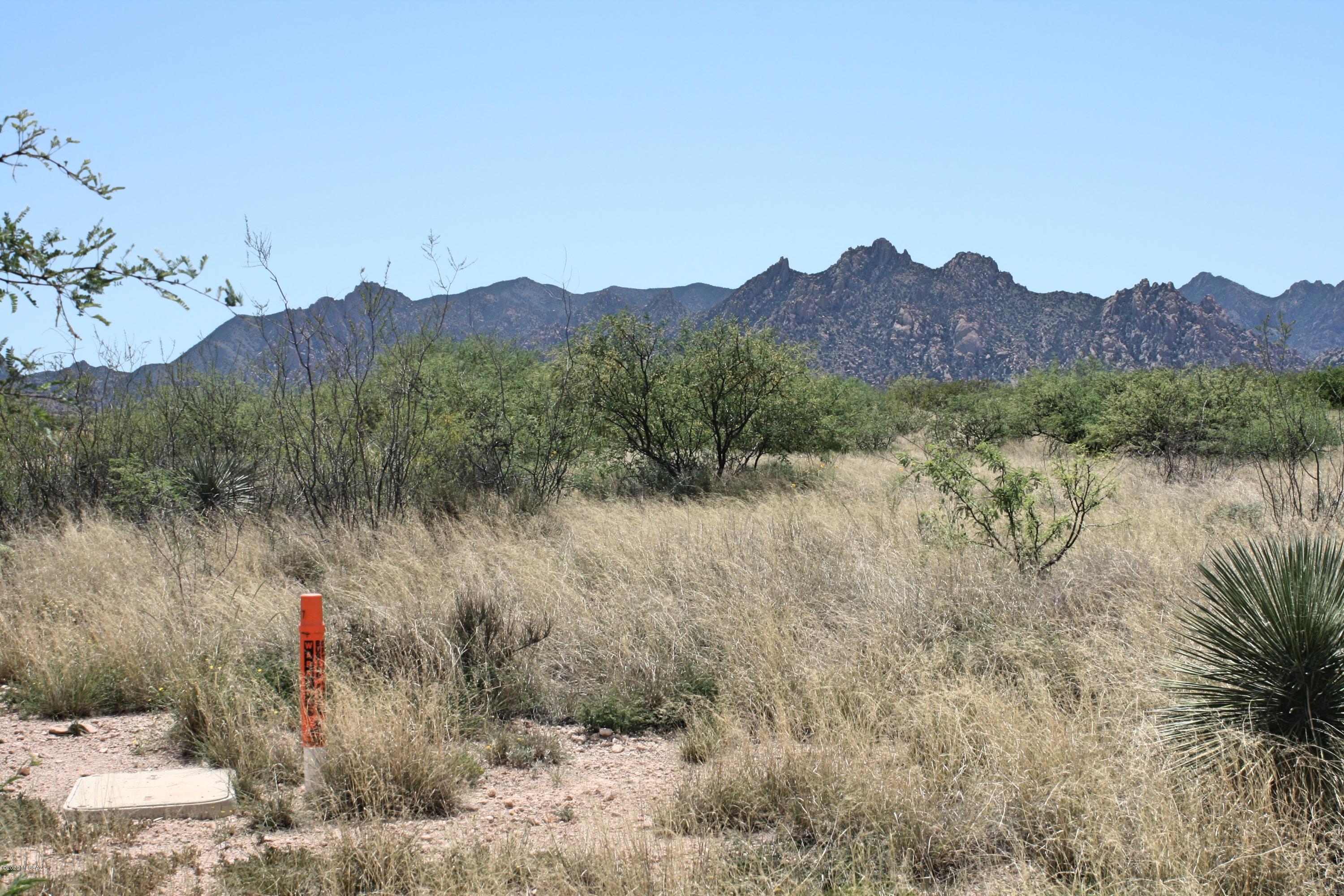 Dragoon Mountain Ranch - Land