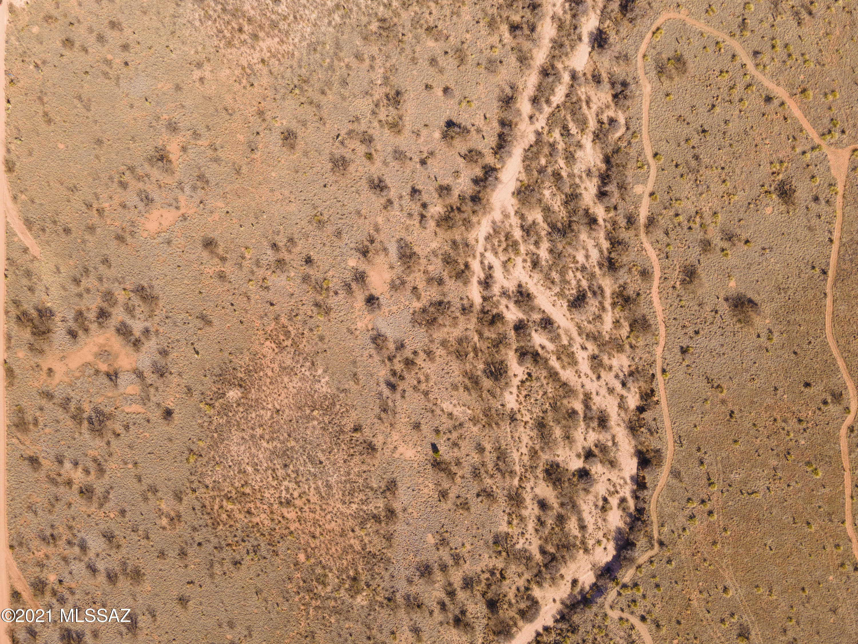 Dragoon Mountain Ranch - Land
