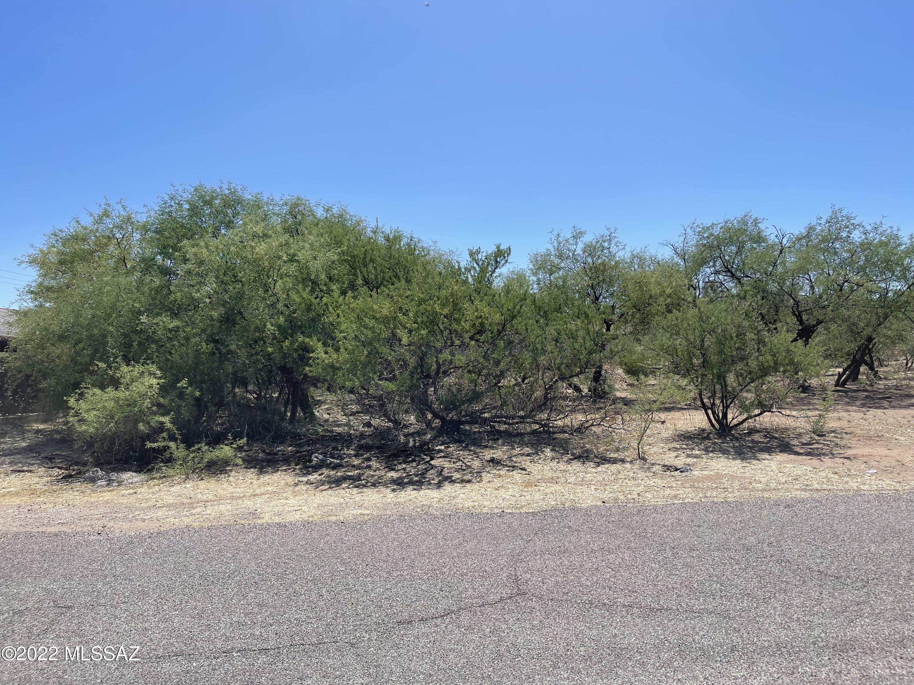 Rio Rico Villas 13 - Land