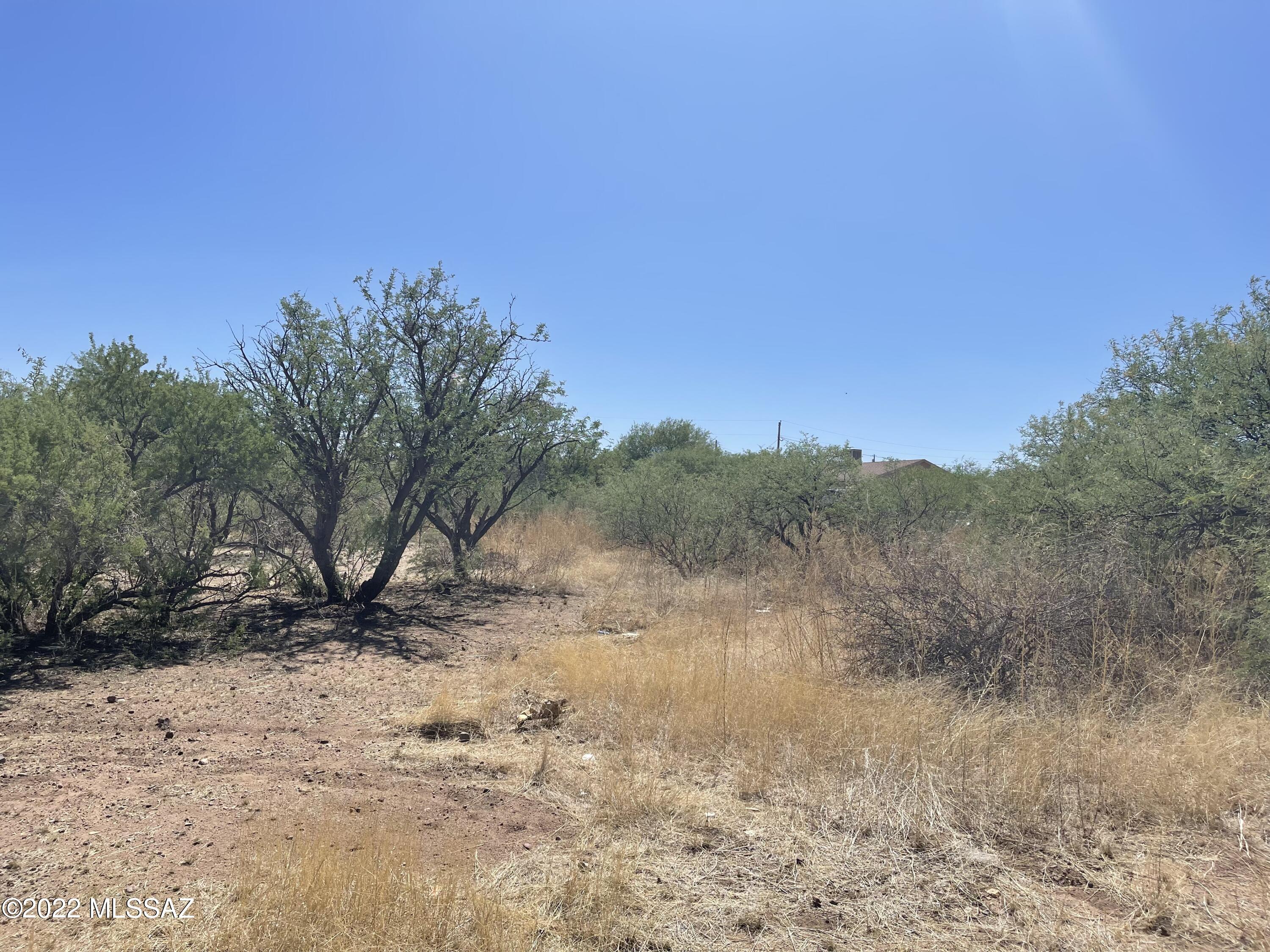 Rio Rico Villas 13 - Land
