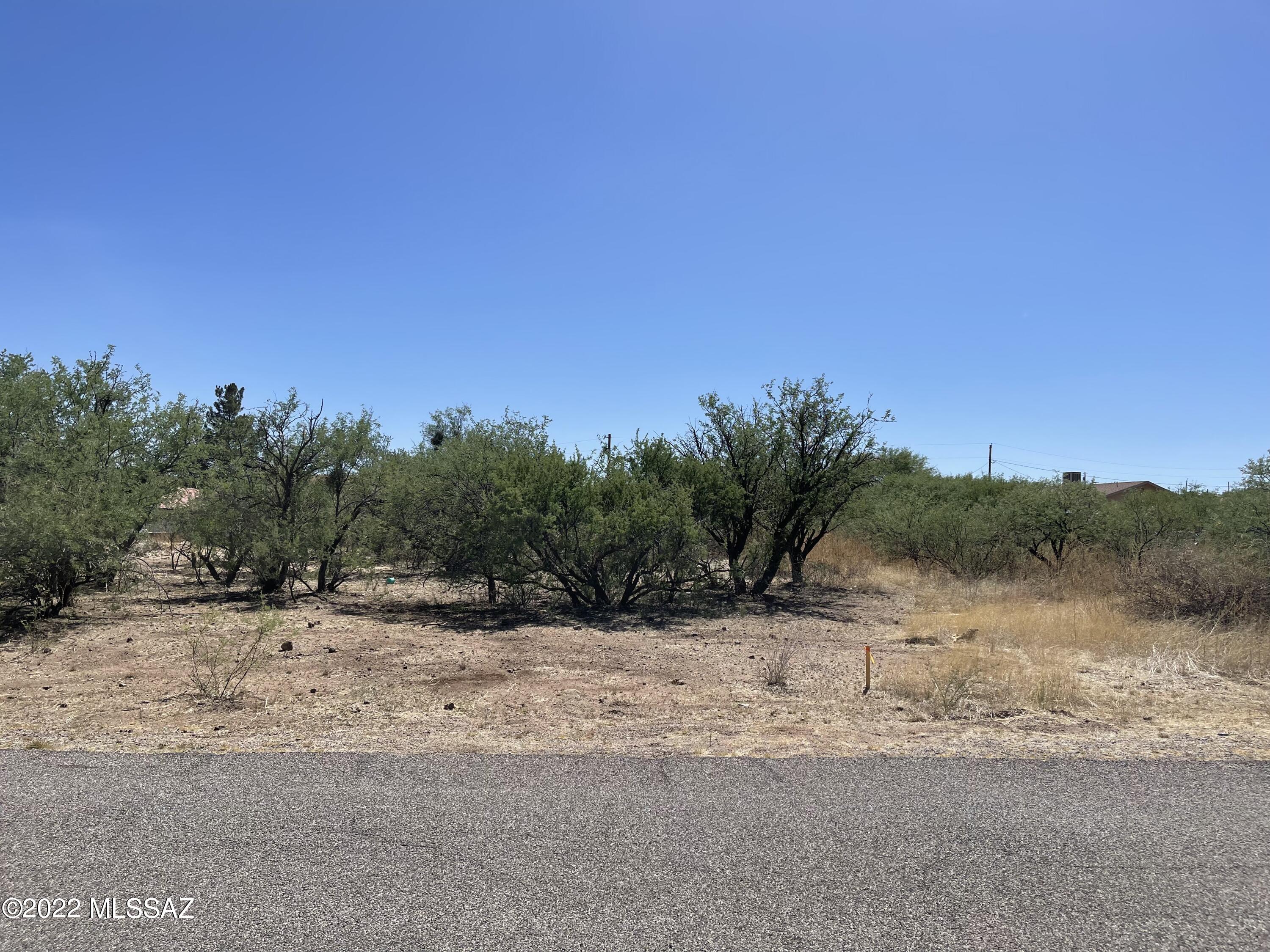 Rio Rico Villas 13 - Land
