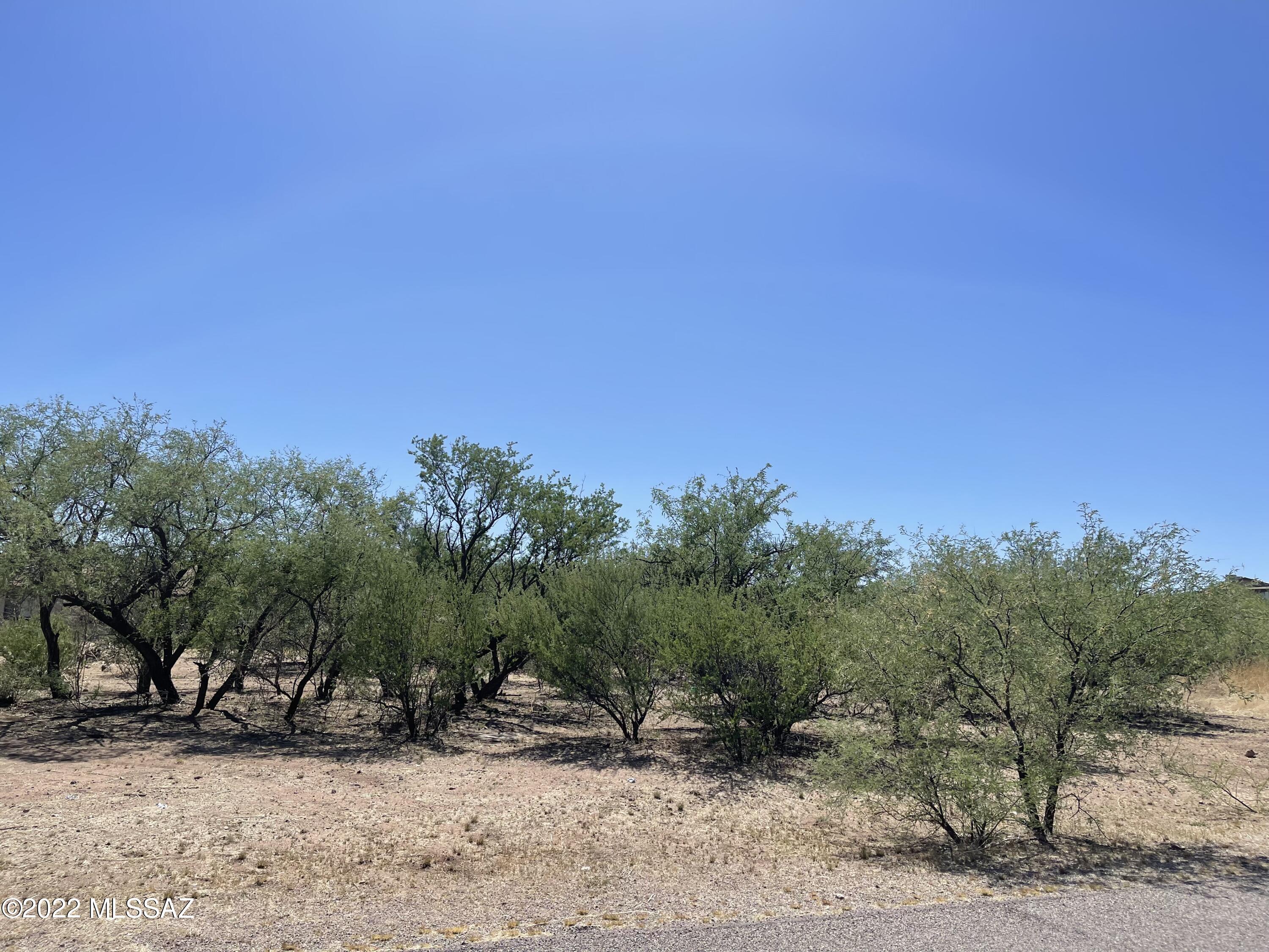 Rio Rico Villas 13 - Land