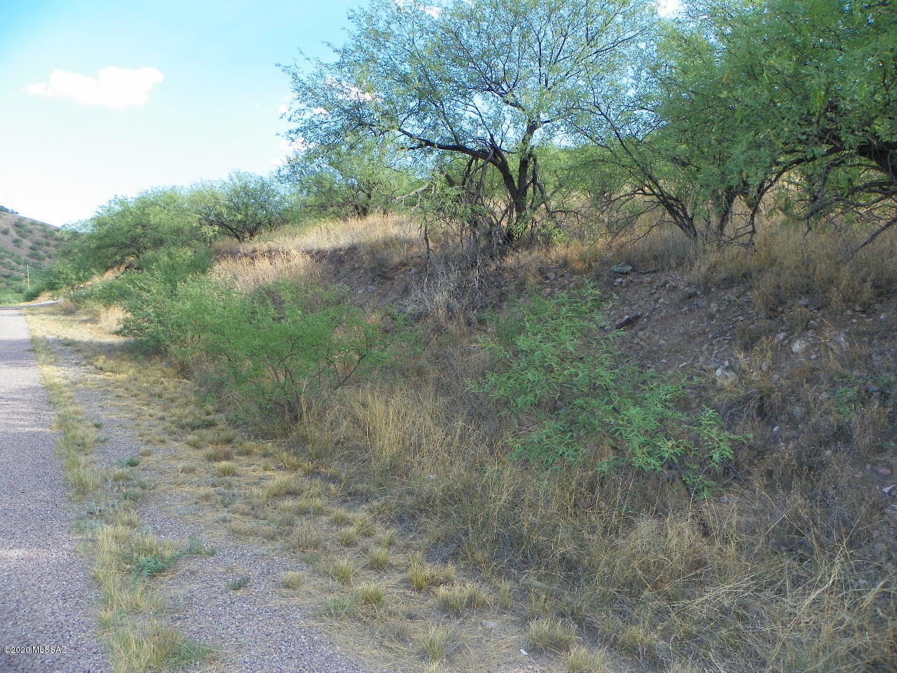 Rio Rico Estates 8 - Land