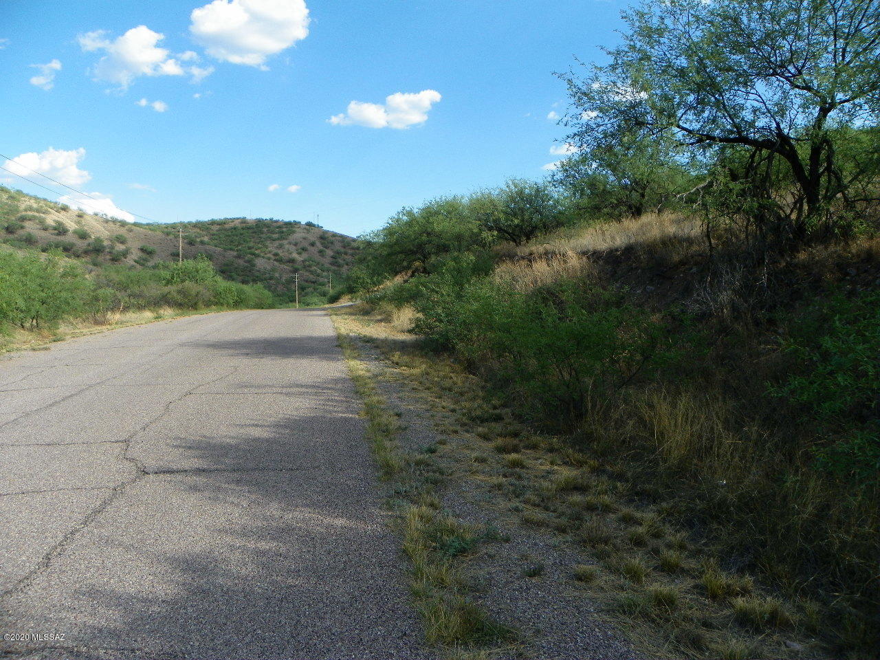 Rio Rico Estates 8 - Land