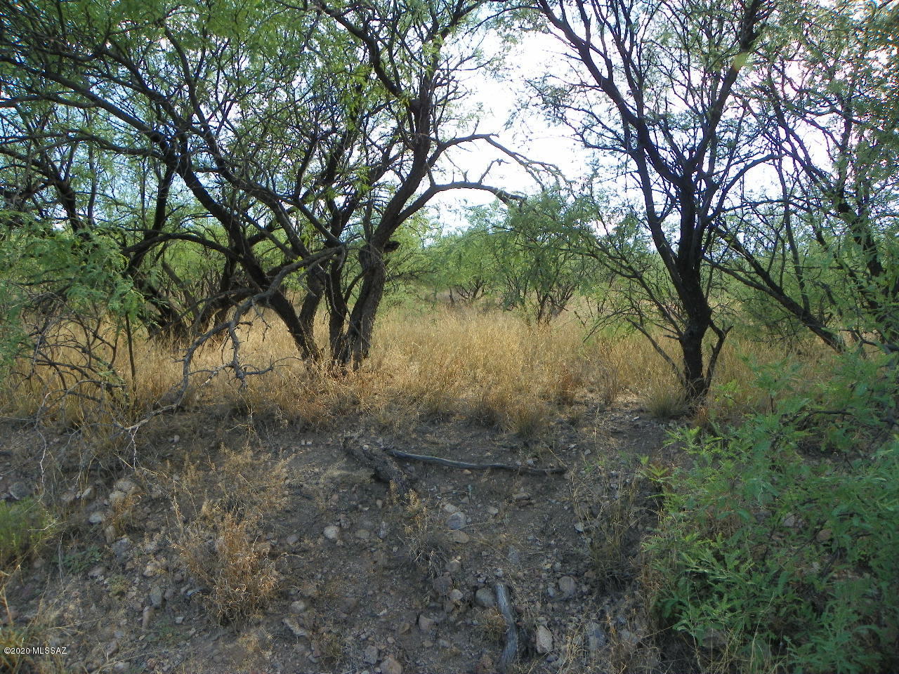Rio Rico Estates 8 - Land