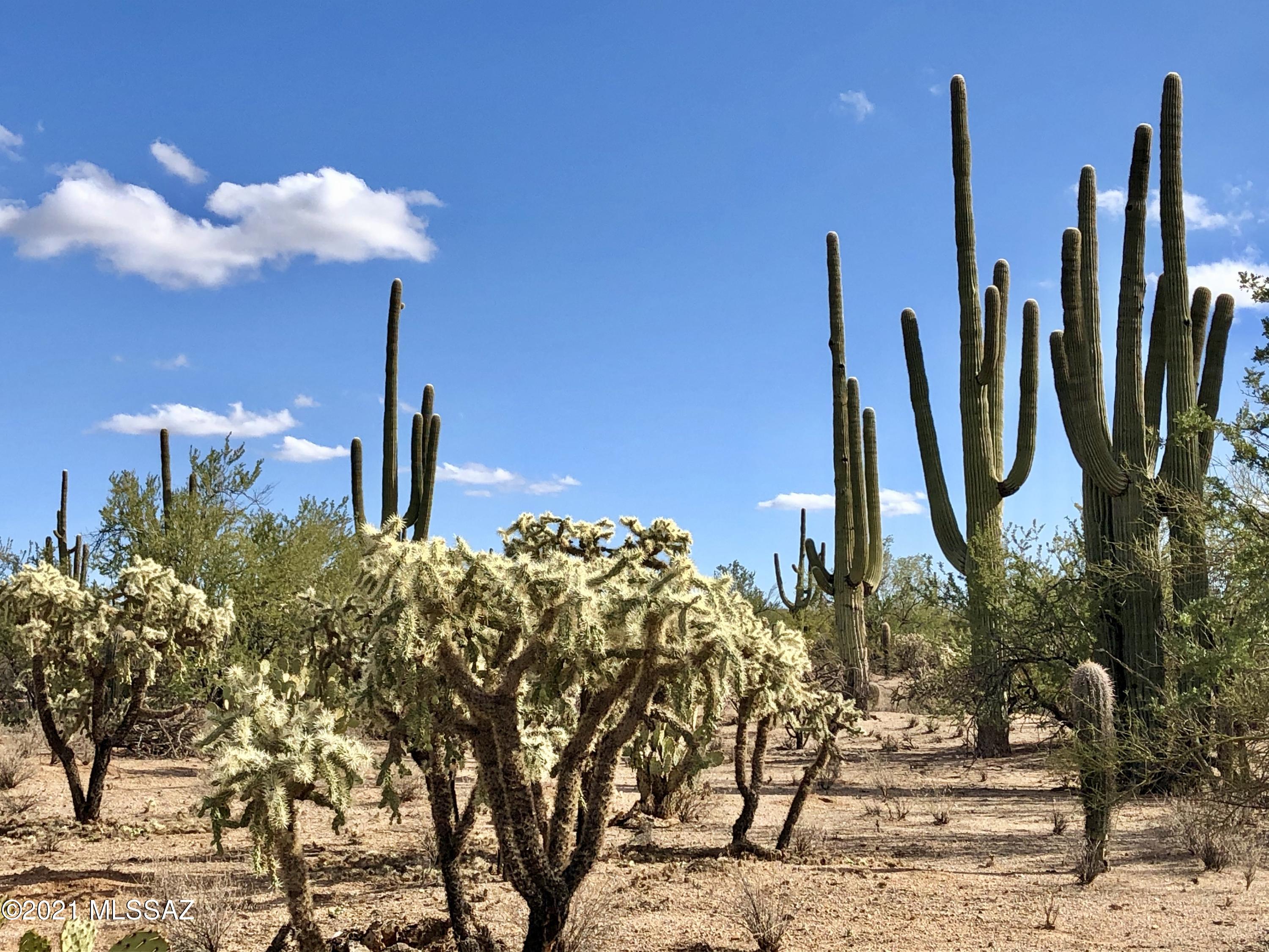 Large 8 acre Flat buildable lot with abundant treasure of mature saguaros and natural vegetation. Quiet country setting with water, electric and phone at the lot line. Situated on a private road with no through traffic. No HOA. Deed restricted for one story custom homes, no horses, no land scraping. Wonderful opportunity for peaceful rural living.