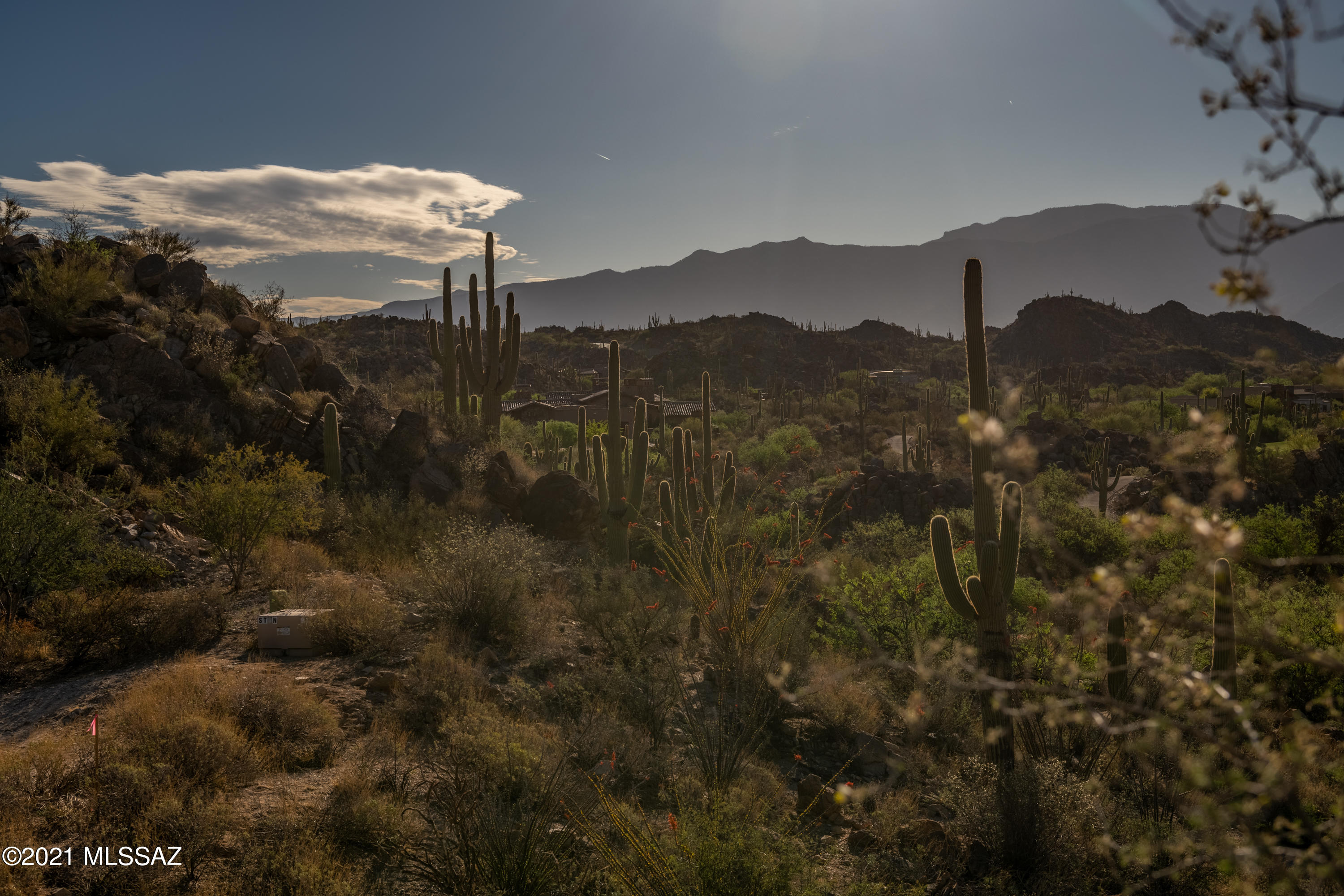 Stone Canyon II - Land