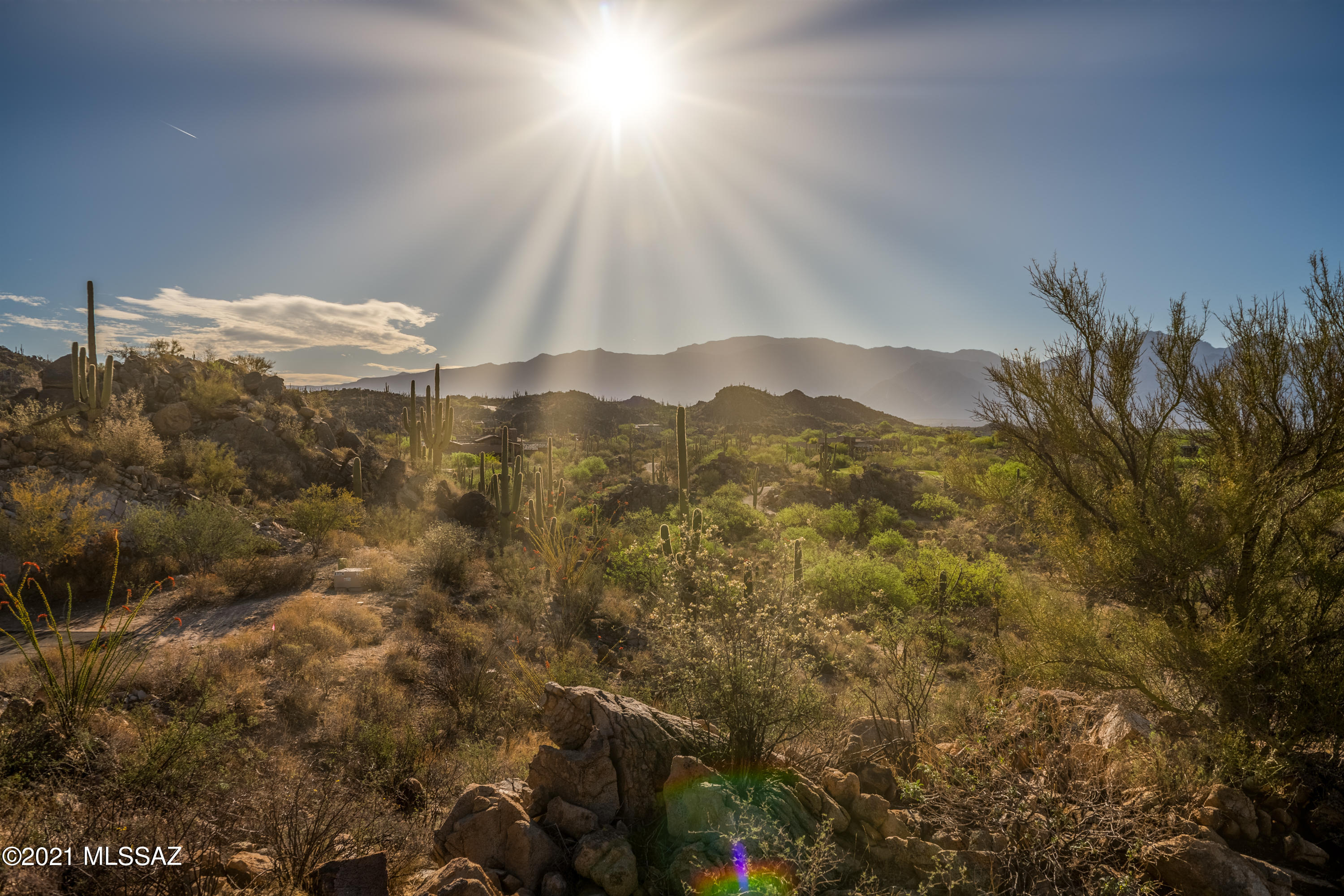 Stone Canyon II - Land