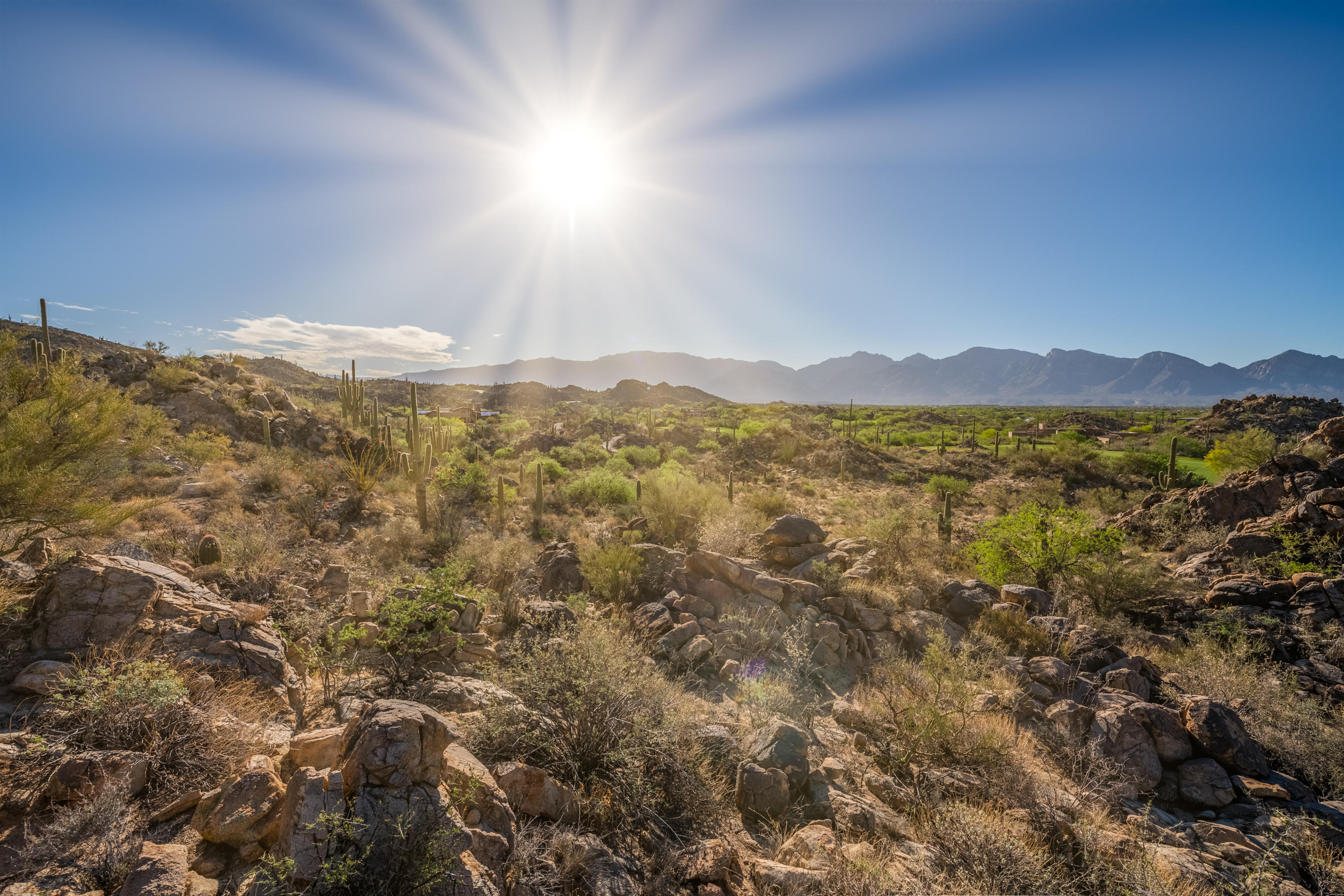 Stone Canyon II - Land