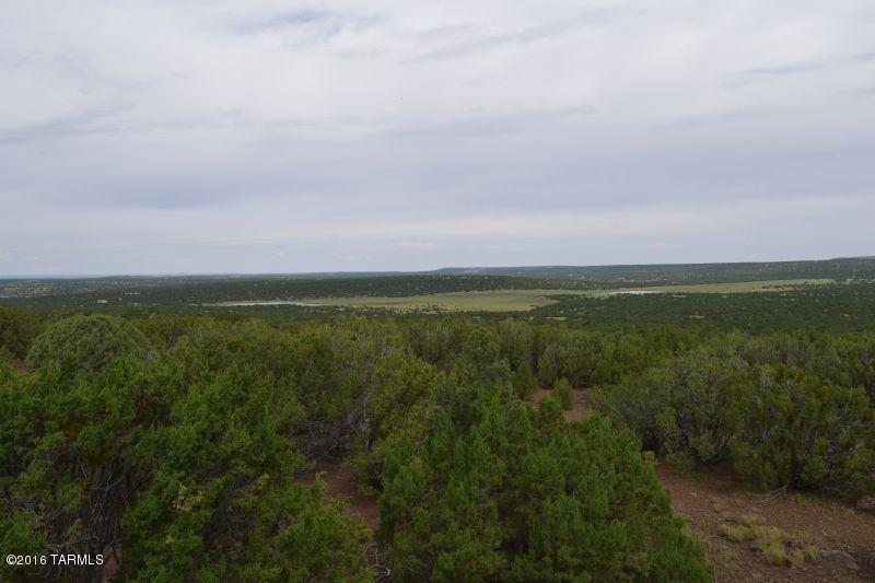 Out Of Pima County - Residential