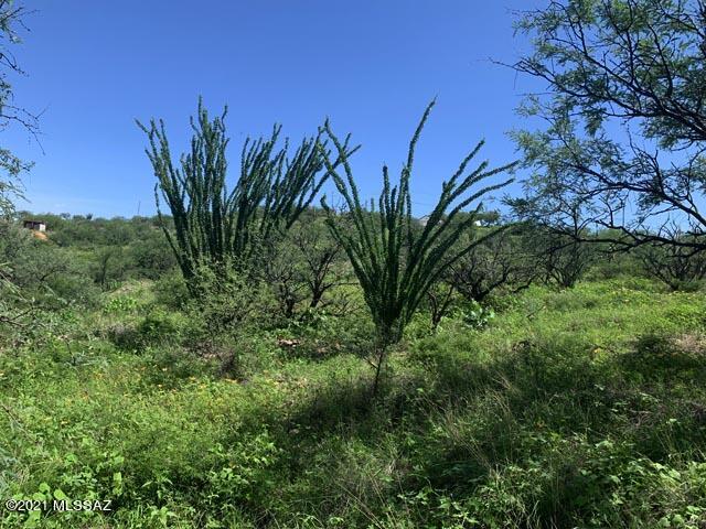 Rio Rico Estates 10 - Land