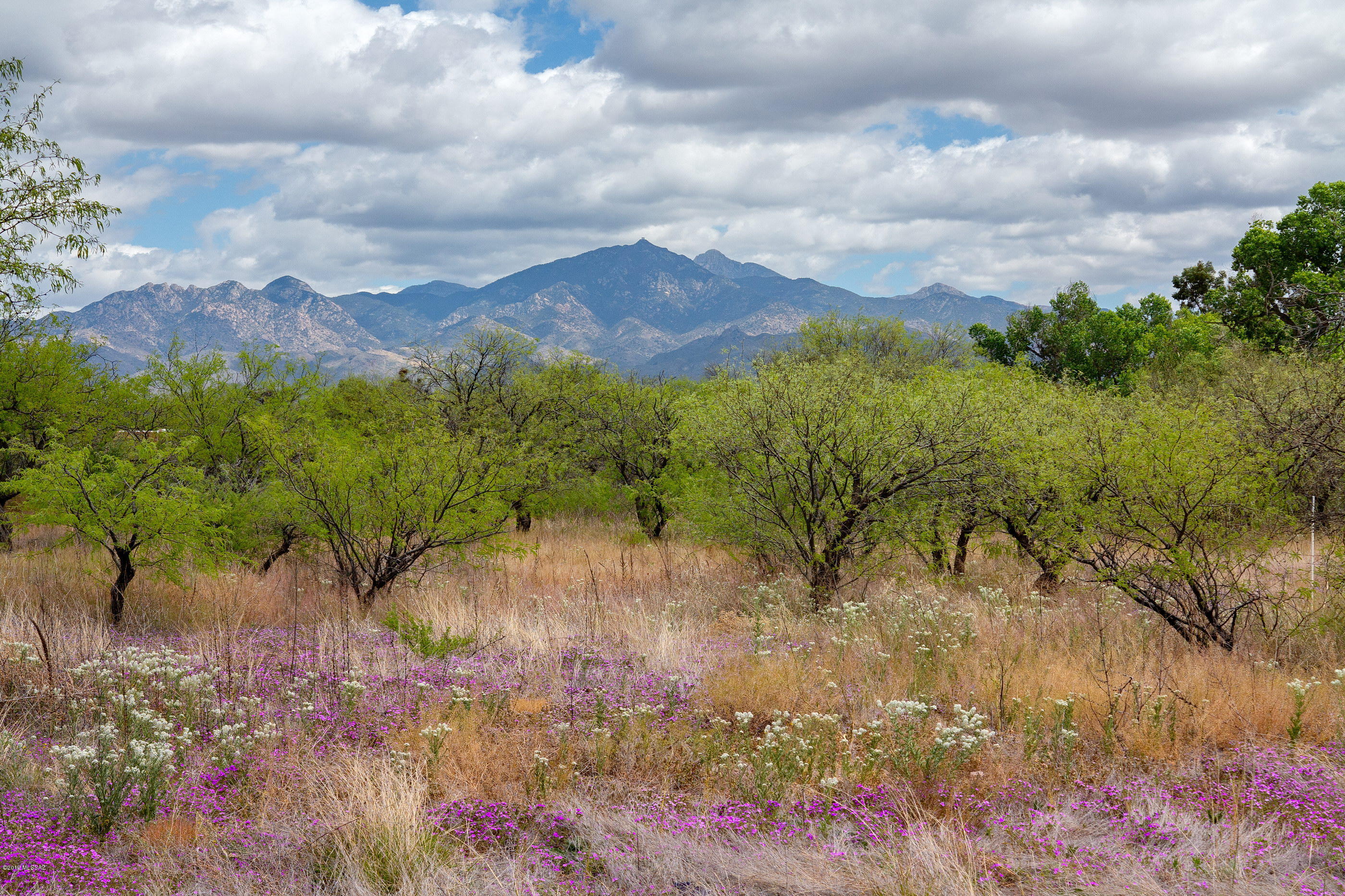 Tubac Valley Country Club Estates - Land